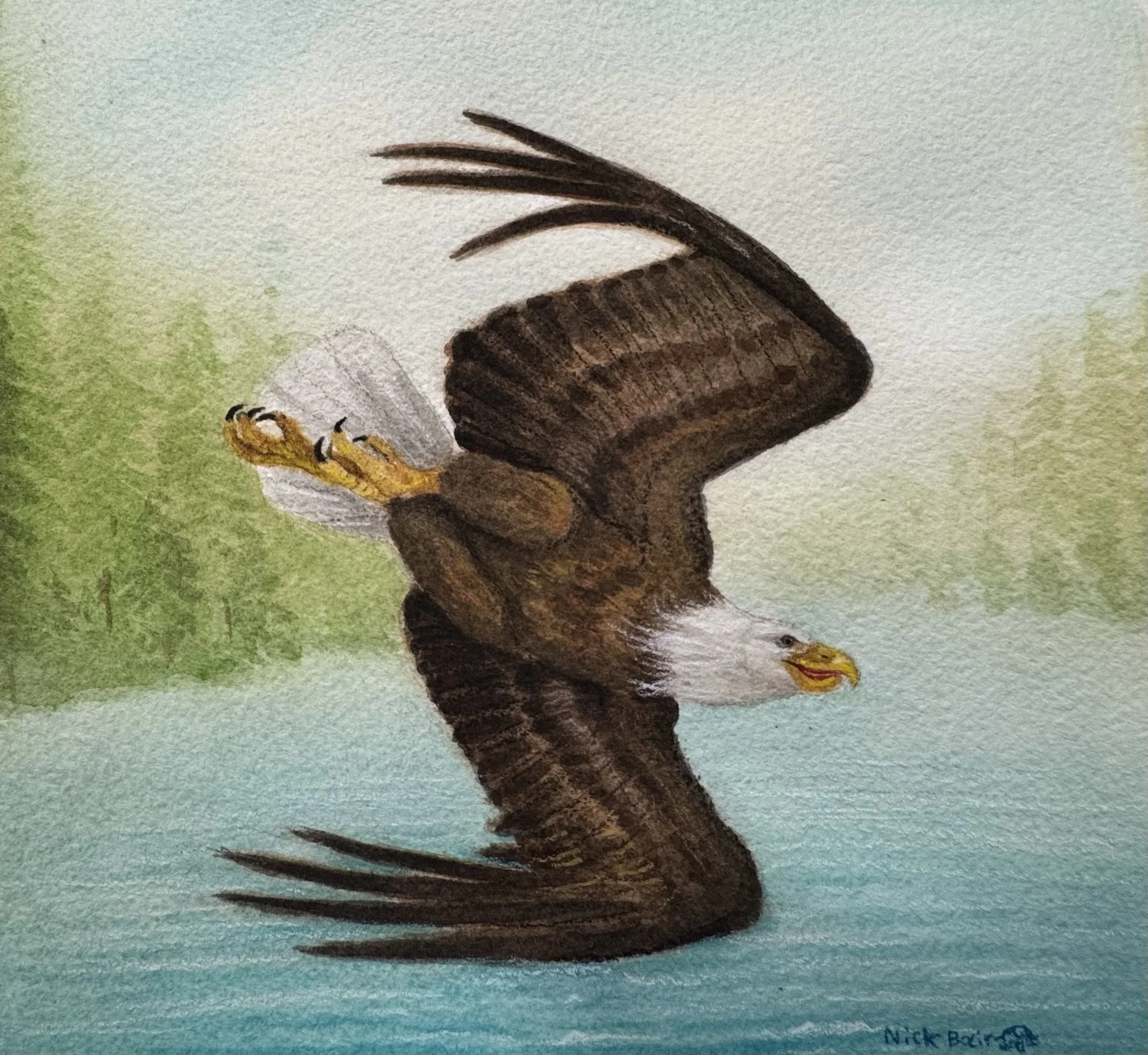 American Eagle.jpg