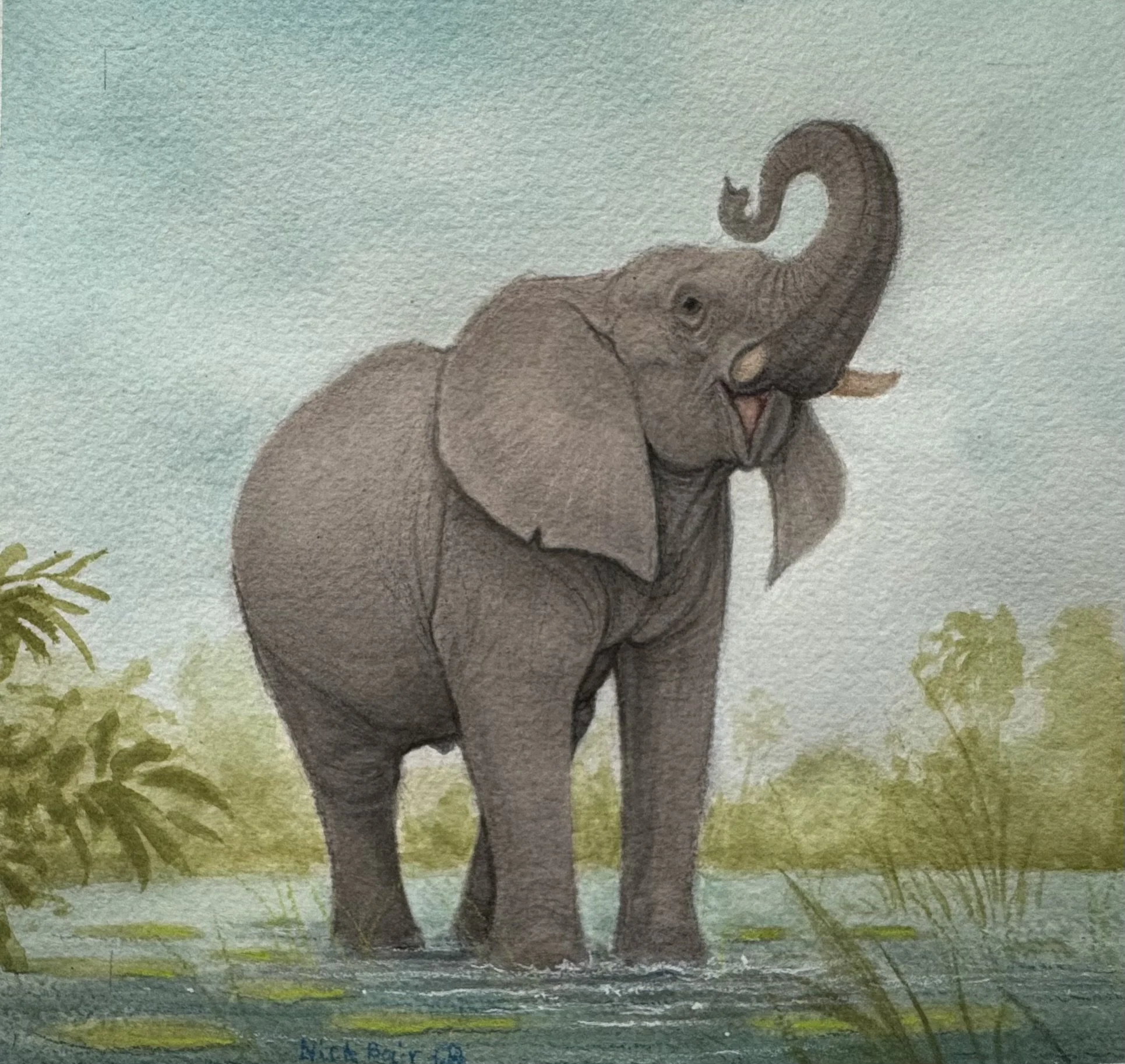 Good Luck Elephant.jpg
