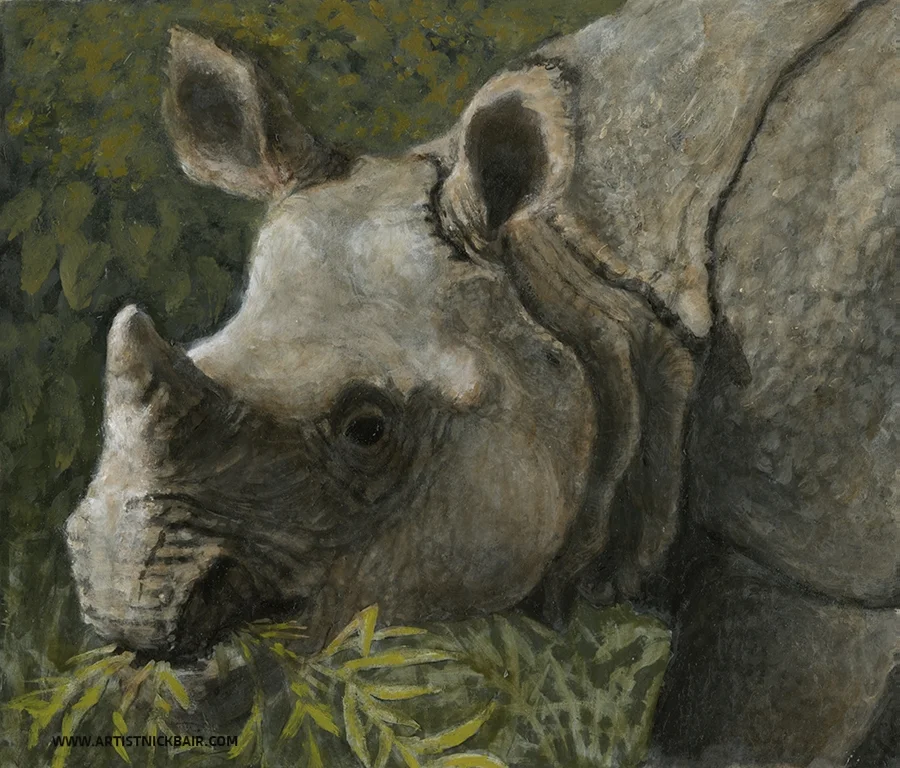 Indian Rhinoceros - Oil Study
