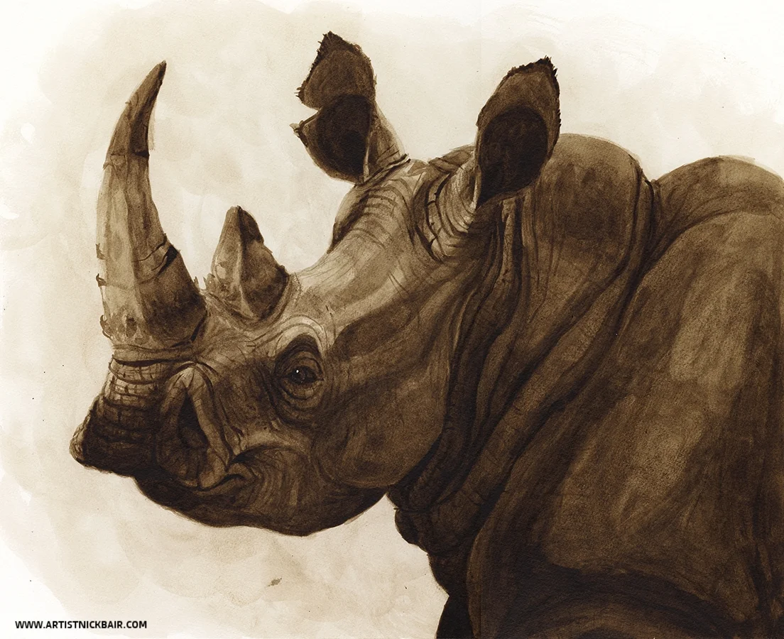 Rhinoceros in Ink