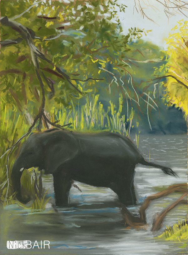 Elephant in the River