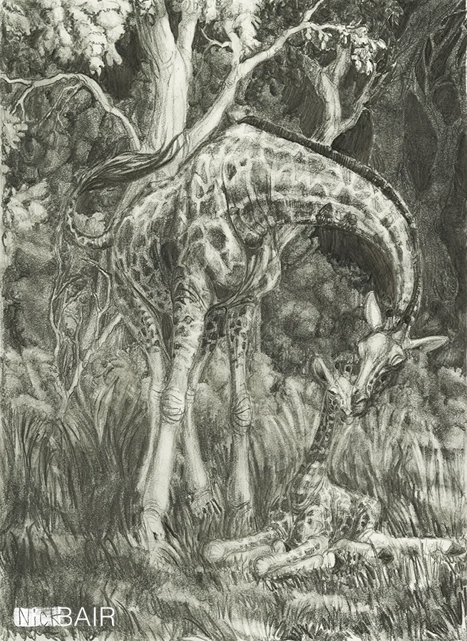 Nuzzling Giraffes