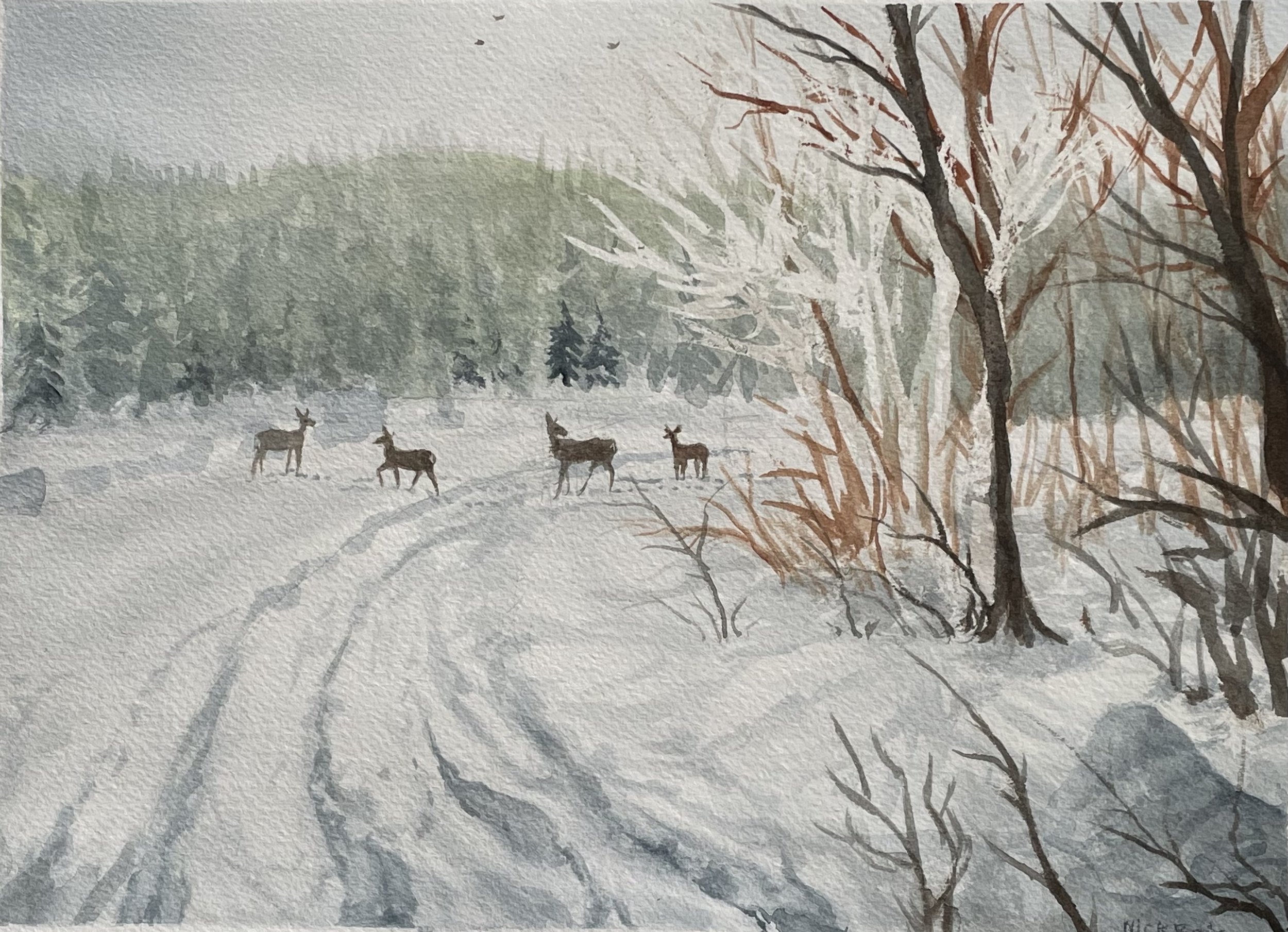 Does in the Snow