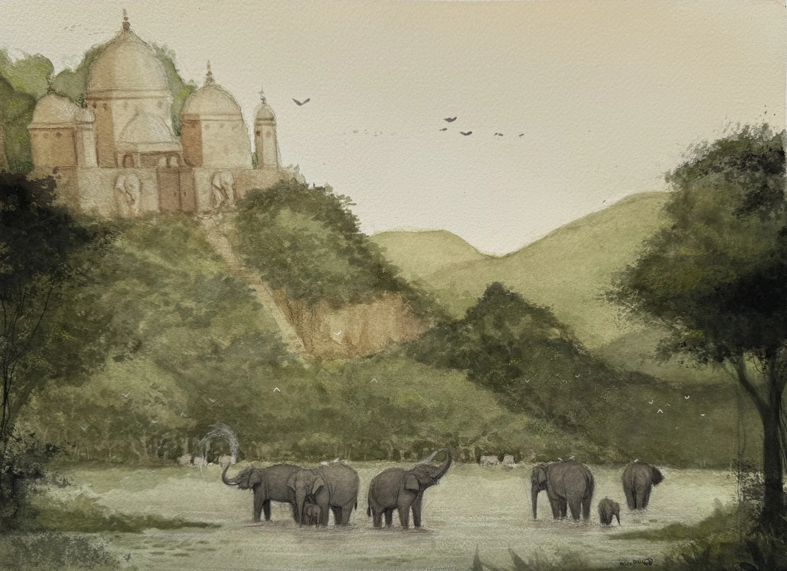 14 Elephants.jpg
