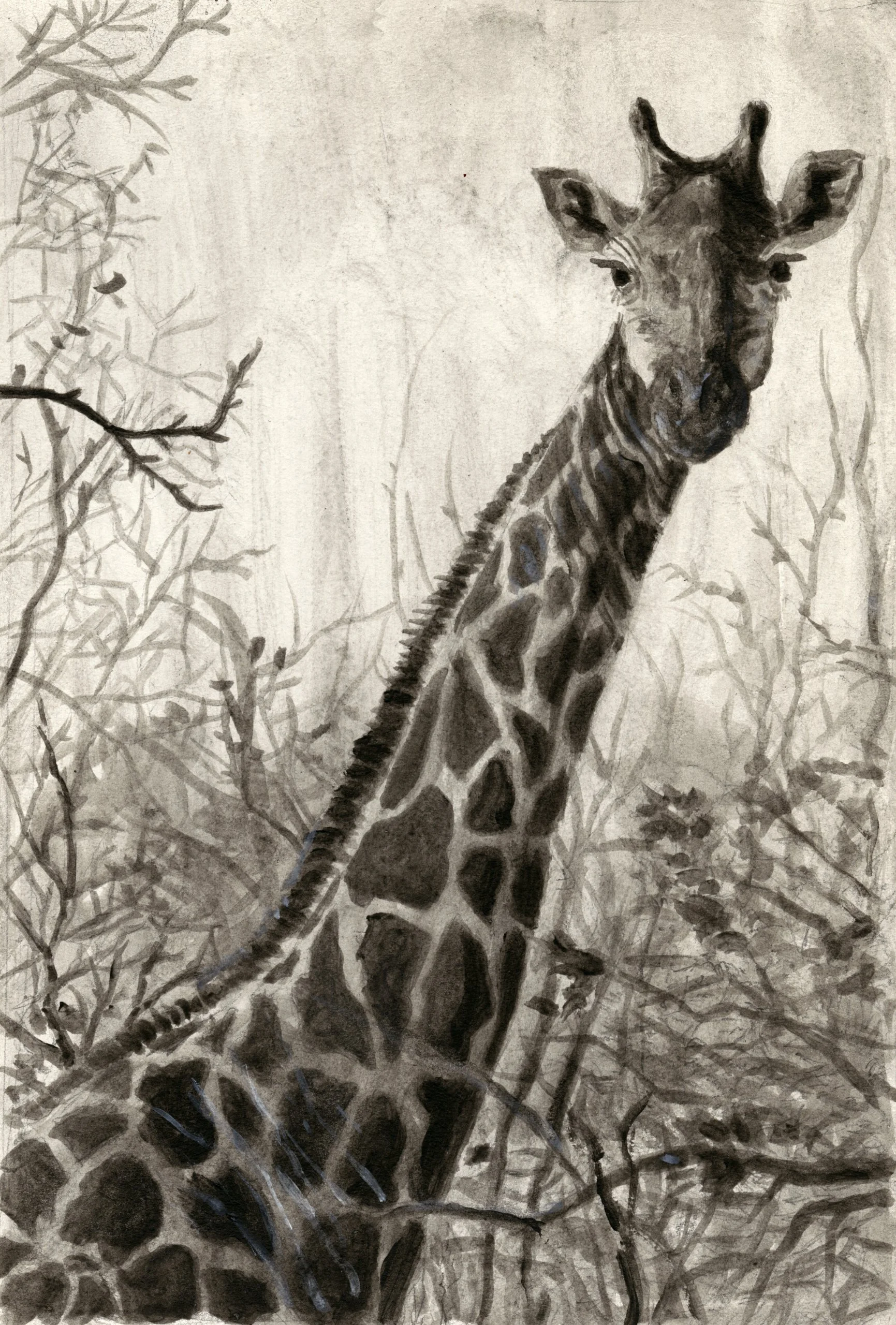 giraffe in branches_6x8.5_600dpi.jpg