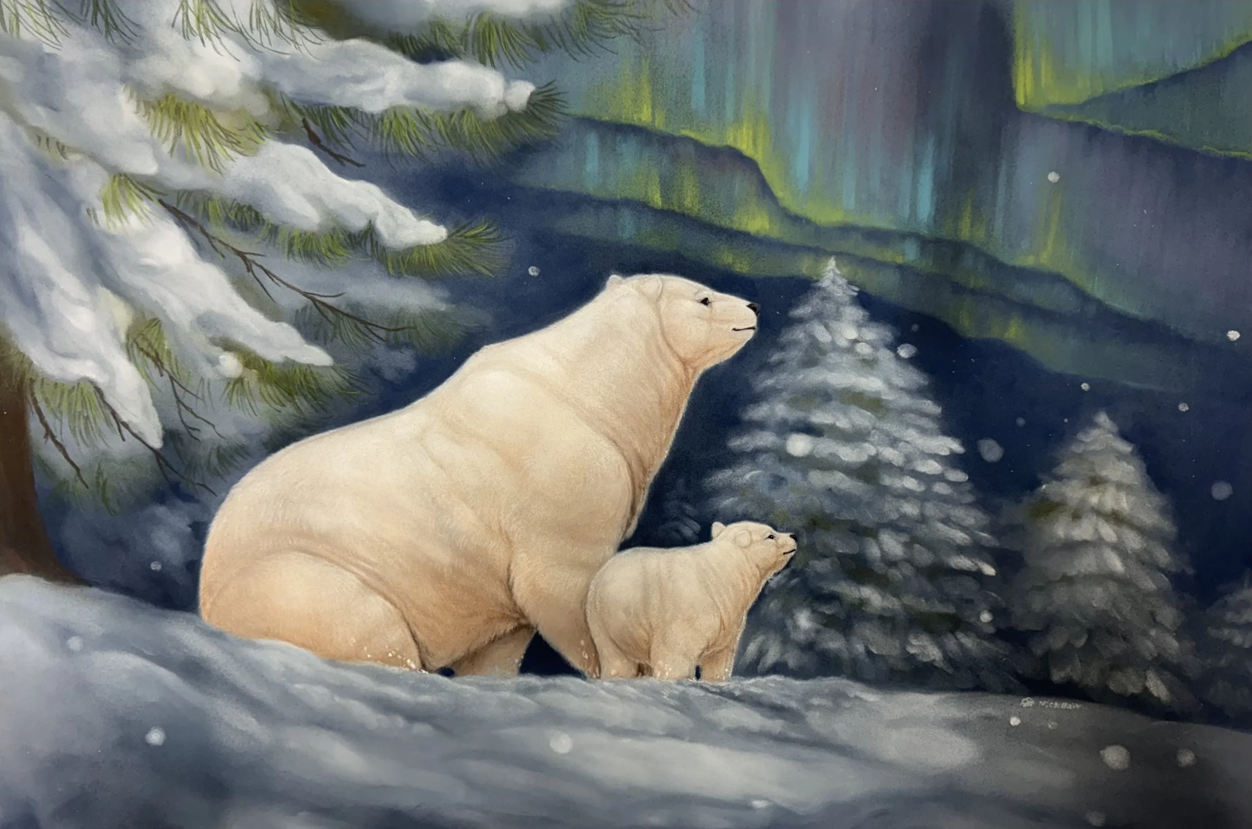 Northern Lights.jpg