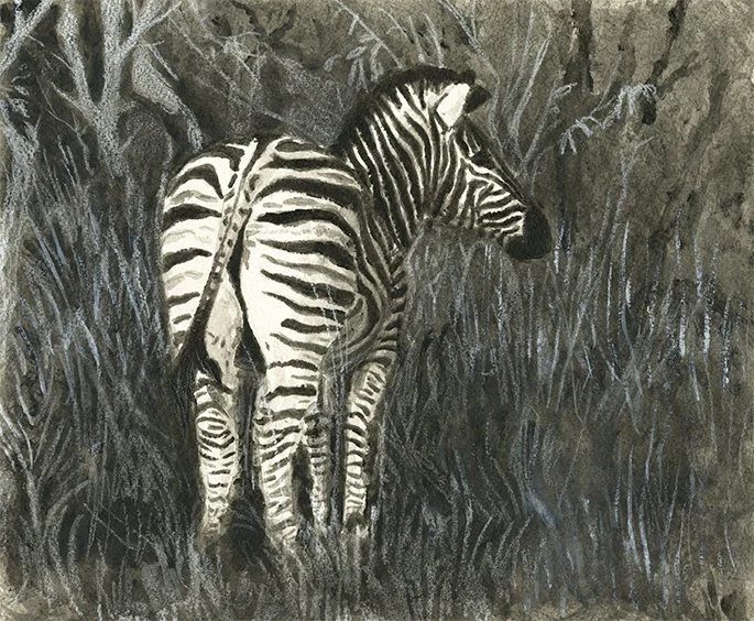 zebra_blackandwhite_72dpi.jpg