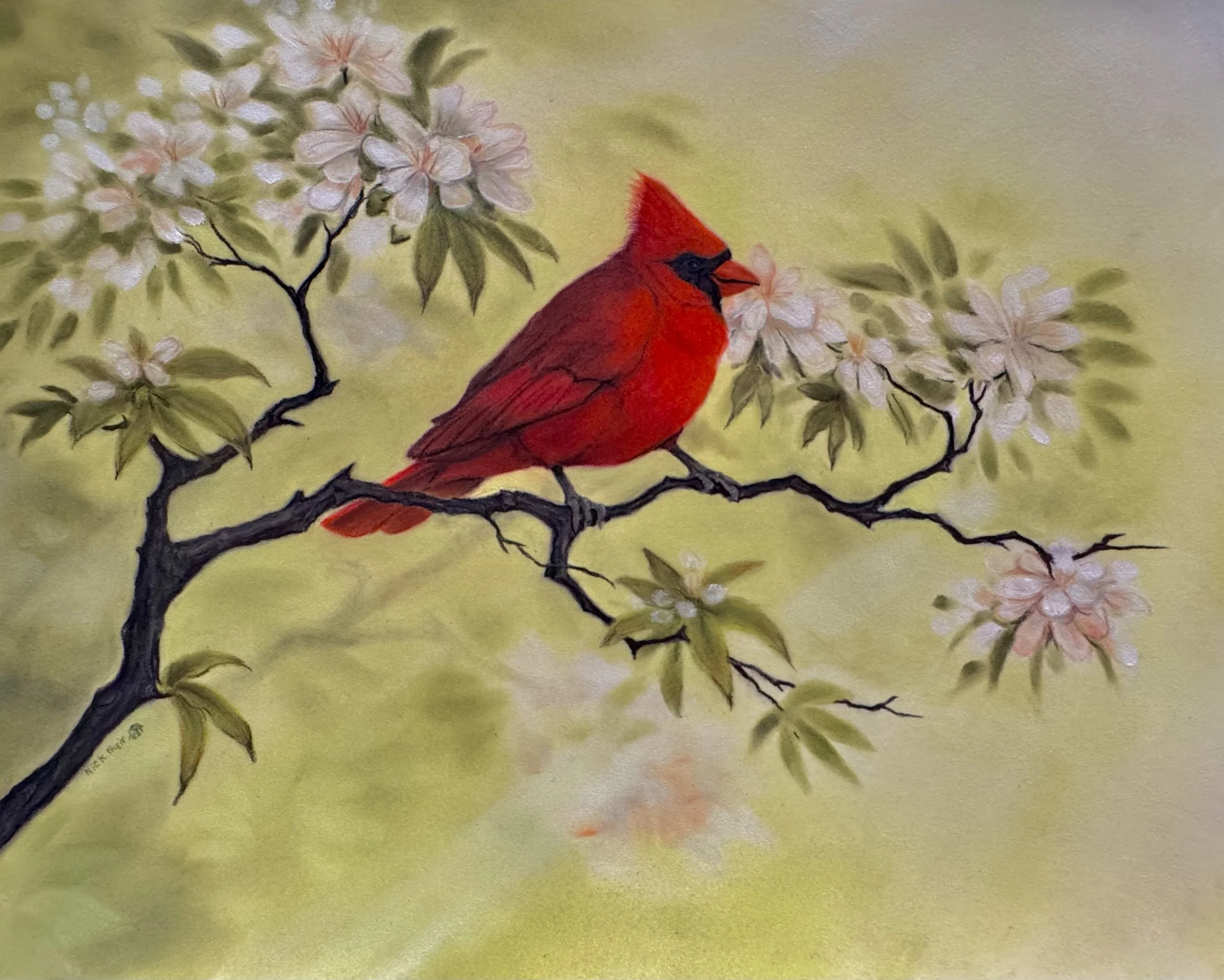 spring cardinal 2.jpg
