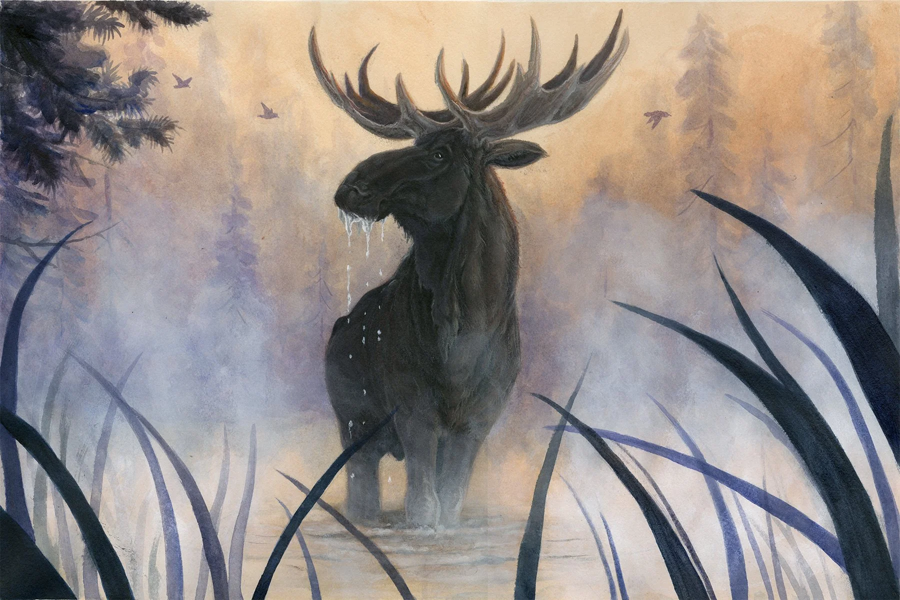 MooseinMist_Arylic_72dpi_web.jpg