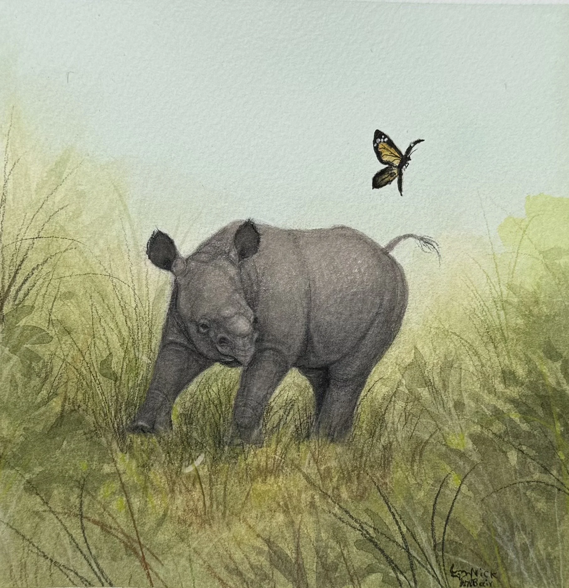 Baby Rhino.jpg