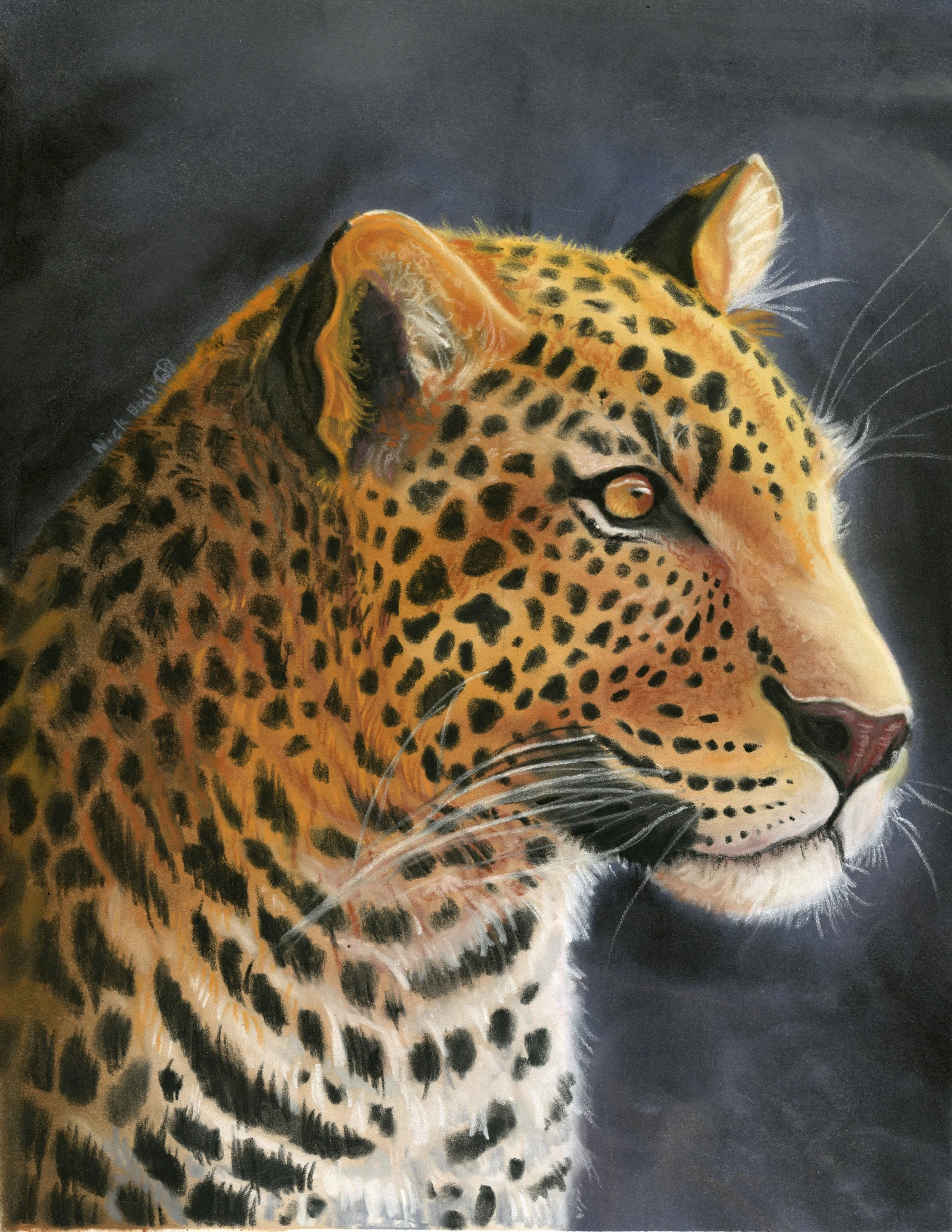 ElegantCat_7.5x9.5_600dpi.jpg