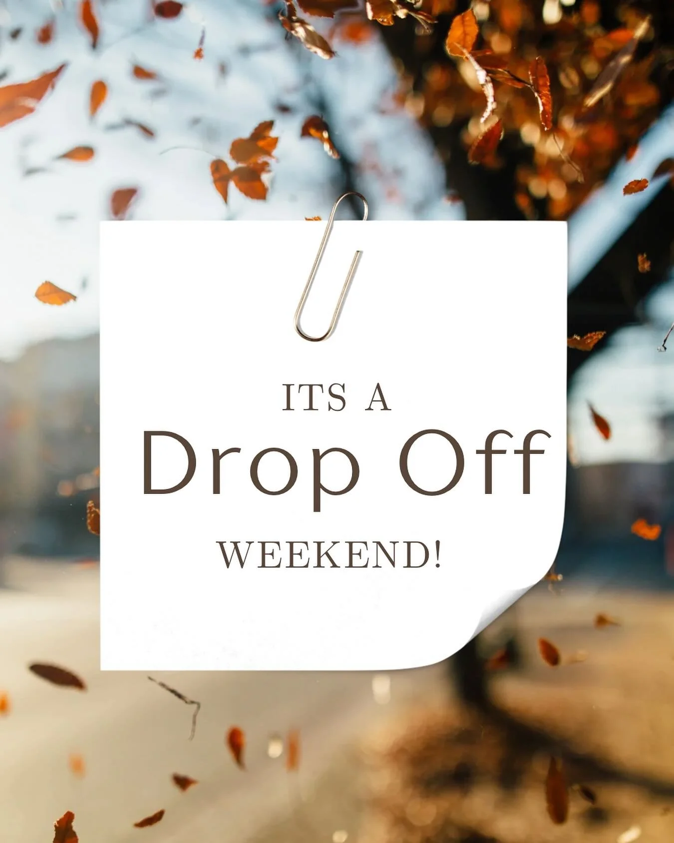 Starting TOMORROW! Bring us up to 30 FALL items!
