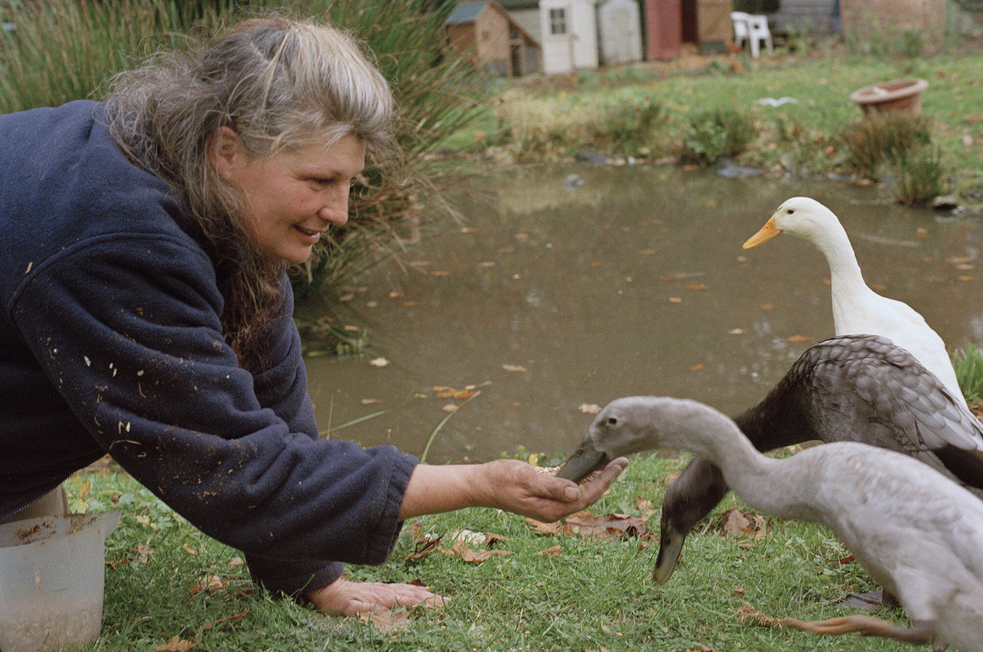 Corinne Whitehouse_Anita_feeding ducks.jpg