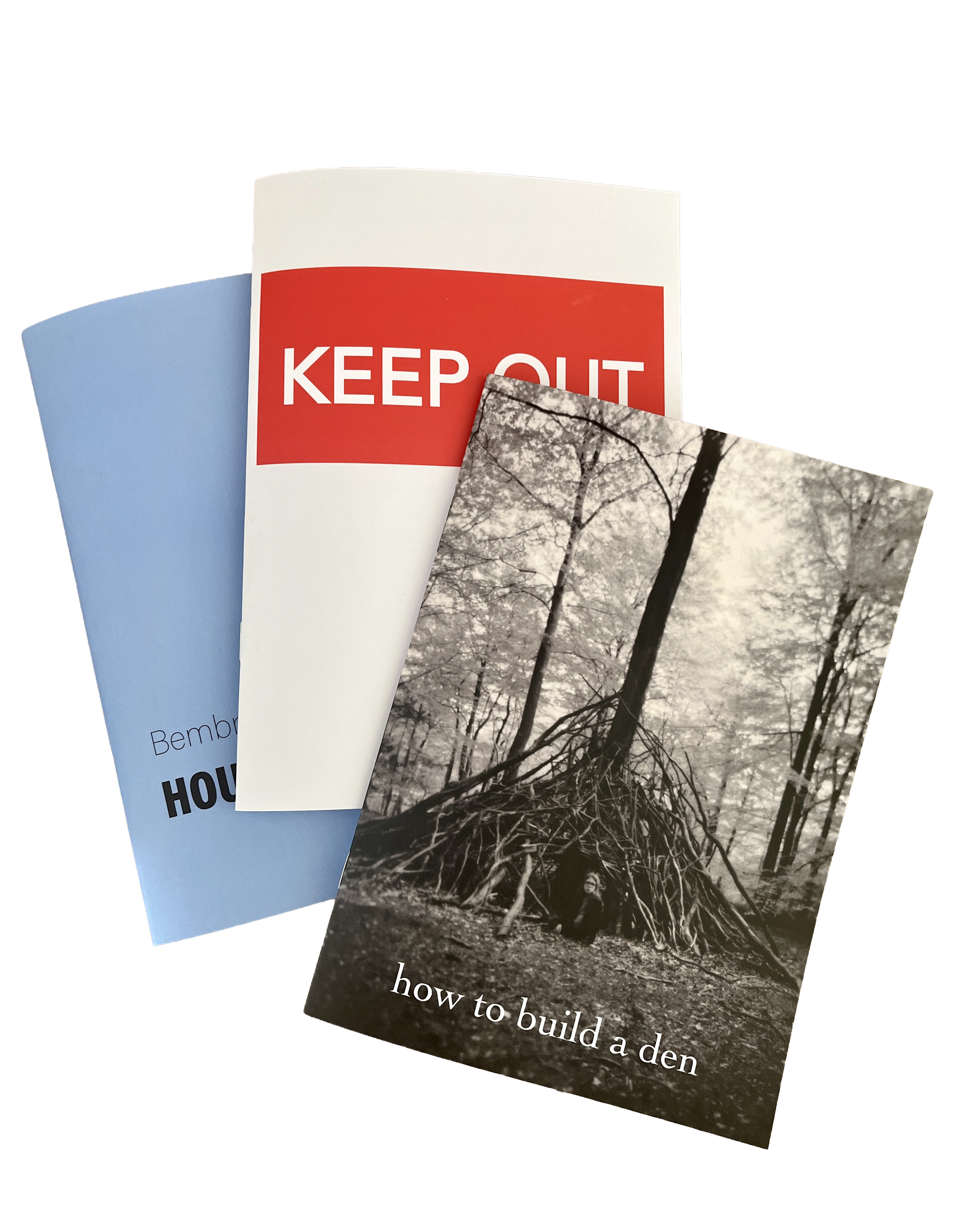 3 zines.png