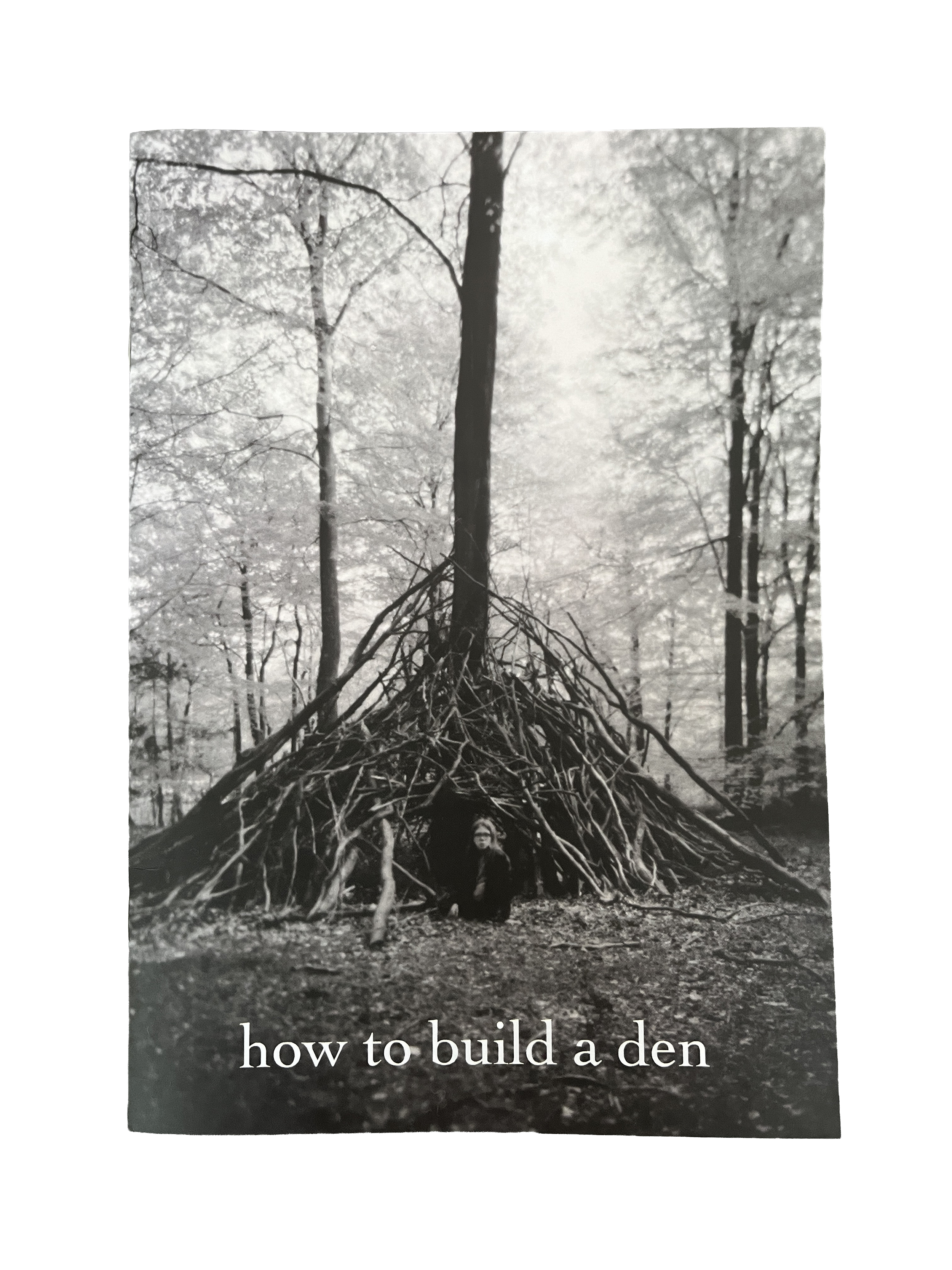how to build a den_no background.png