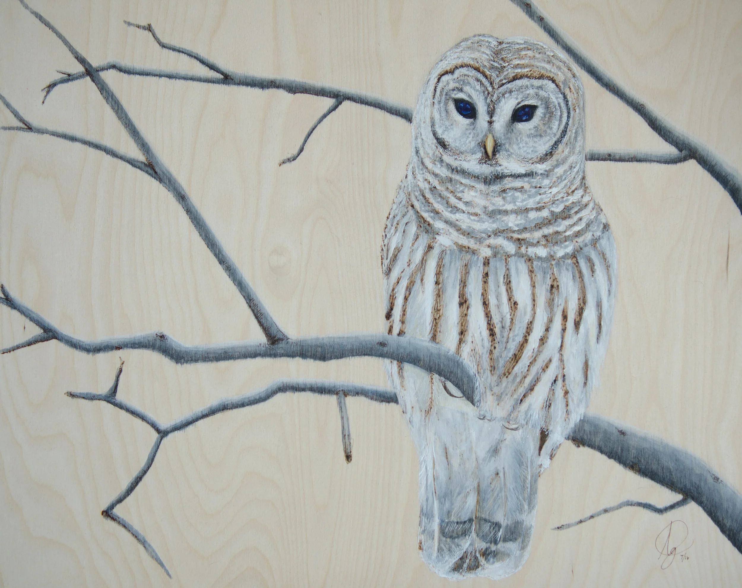 The Watcher | 16x20 | SOLD