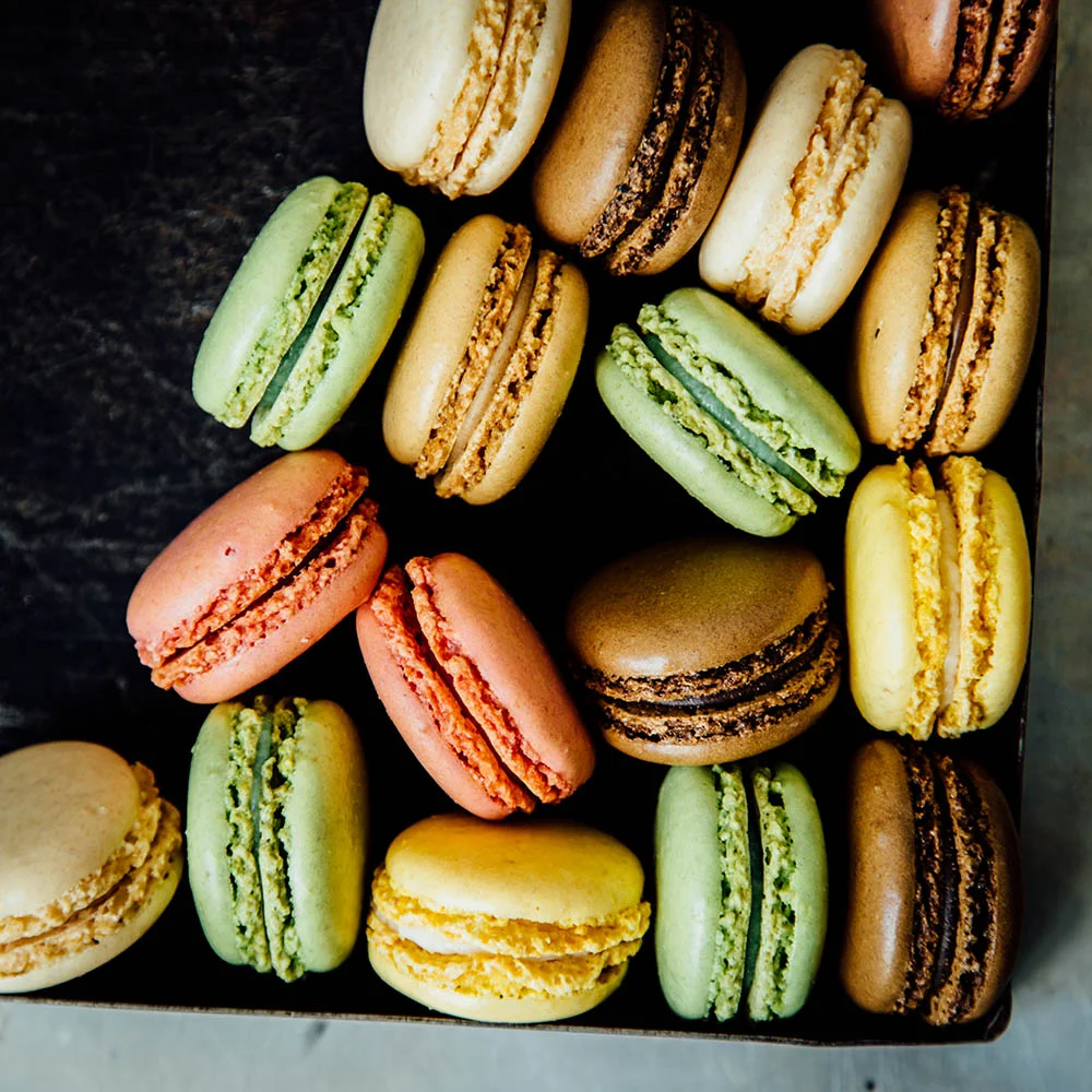macarons_sw_agnesprus_yeldayilmaz.jpg