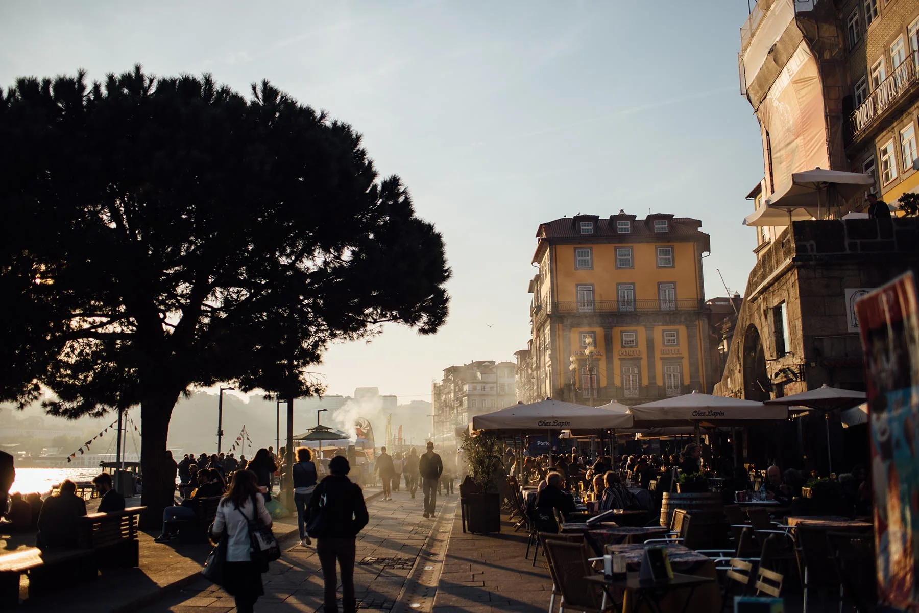 porto_nov17_streetchestnuts_01.jpg