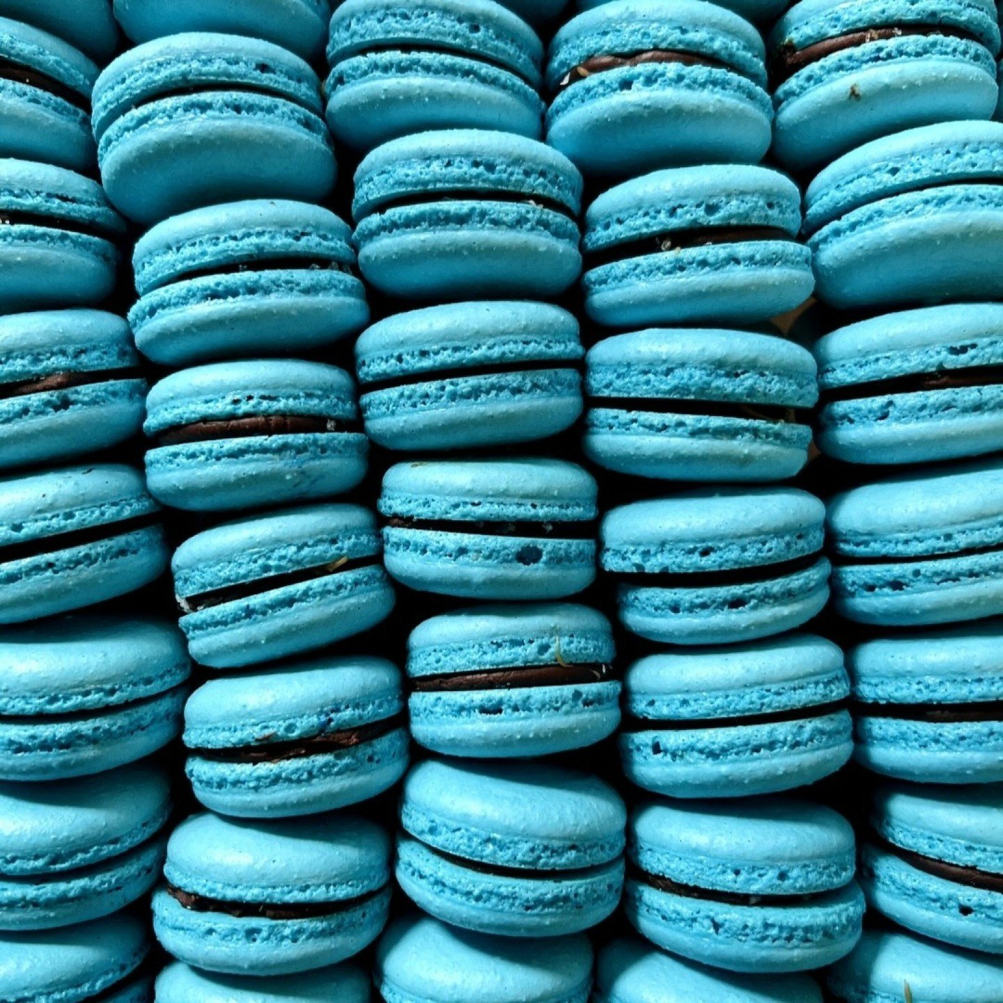 Salted Caramel Macarons... one of our favorites! 💙

*
*
*
*
*
#atyhospitality #siftmystic #siftniantic #siftwatchill #siftbakeshop #mysticct #downtownmystic #ct #pastrychef