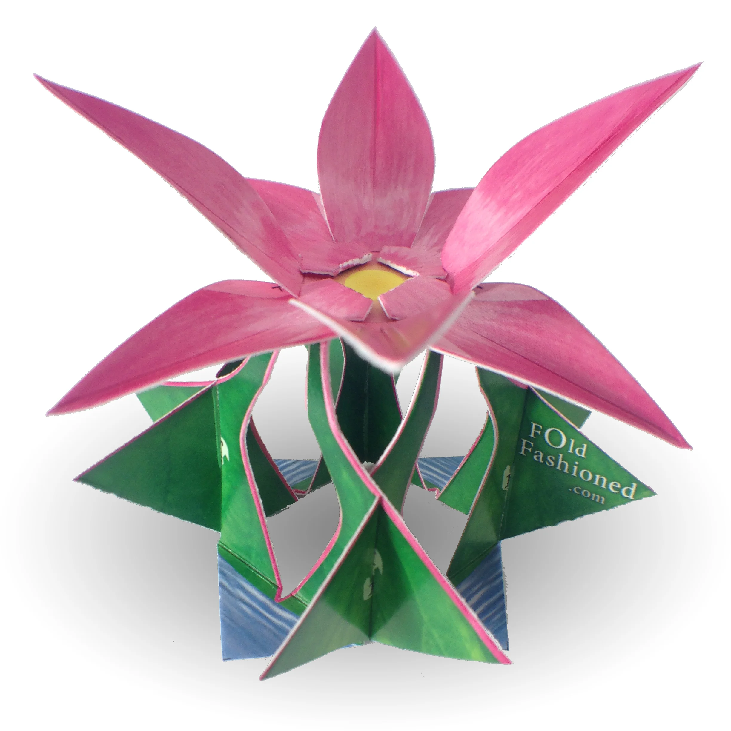 Pink Lotus Flower