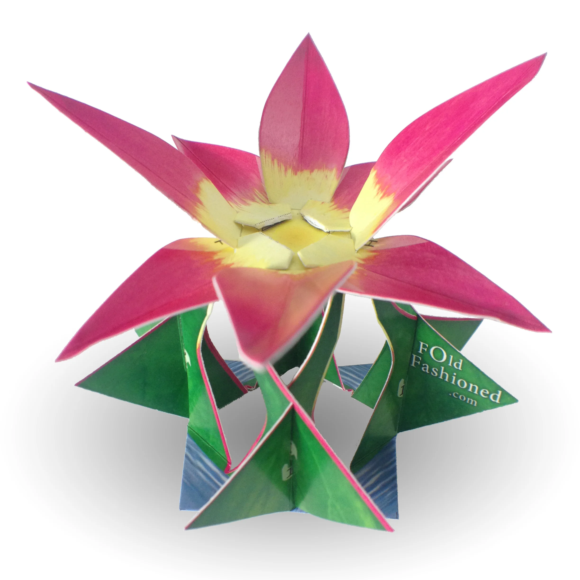 Pink / Yellow Lotus Flower