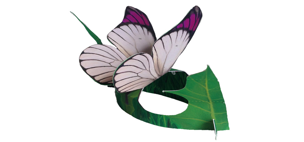 Bushveld Purple-Tip Butterfly