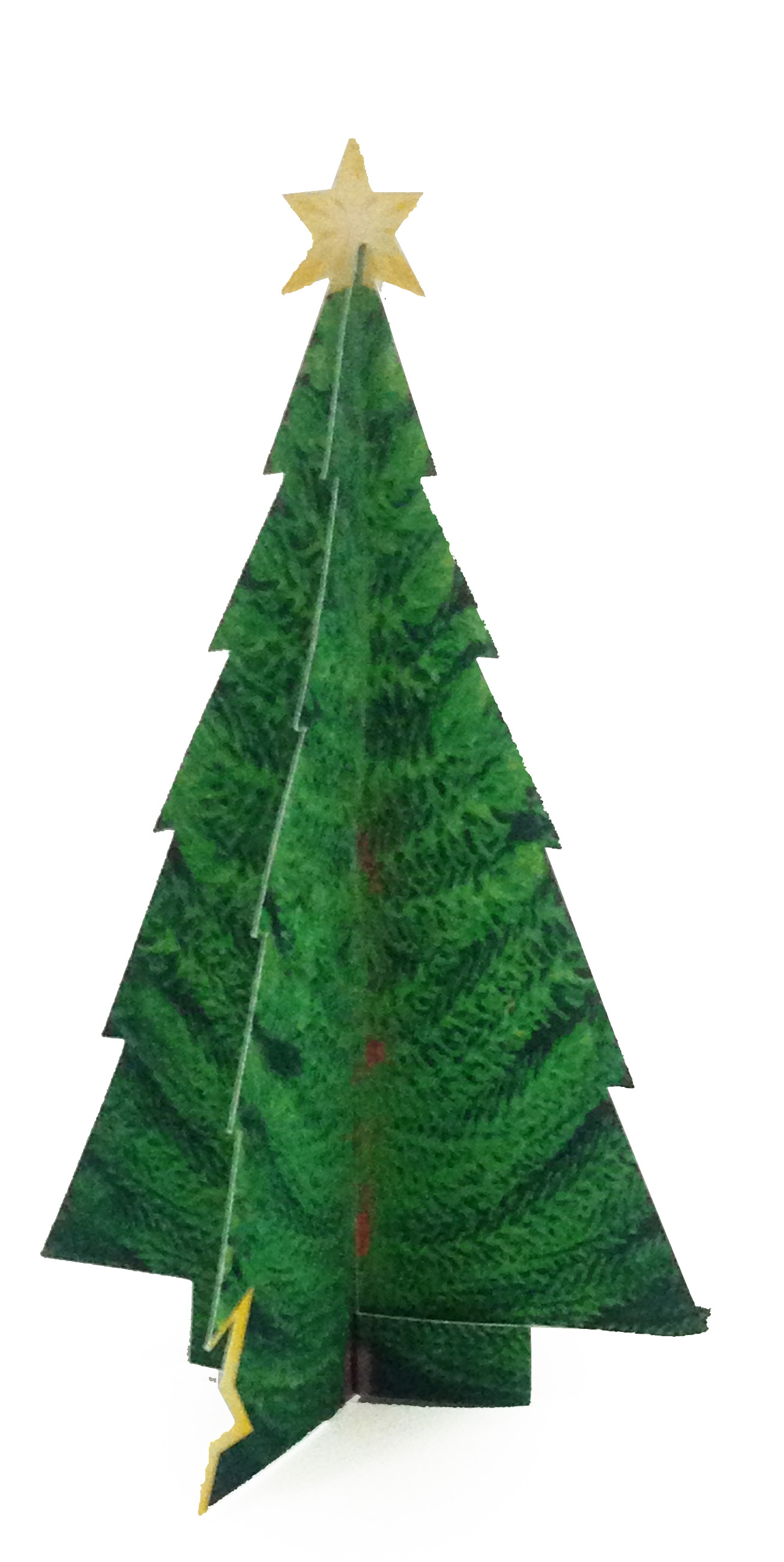 Tannenbaum_Card.jpg