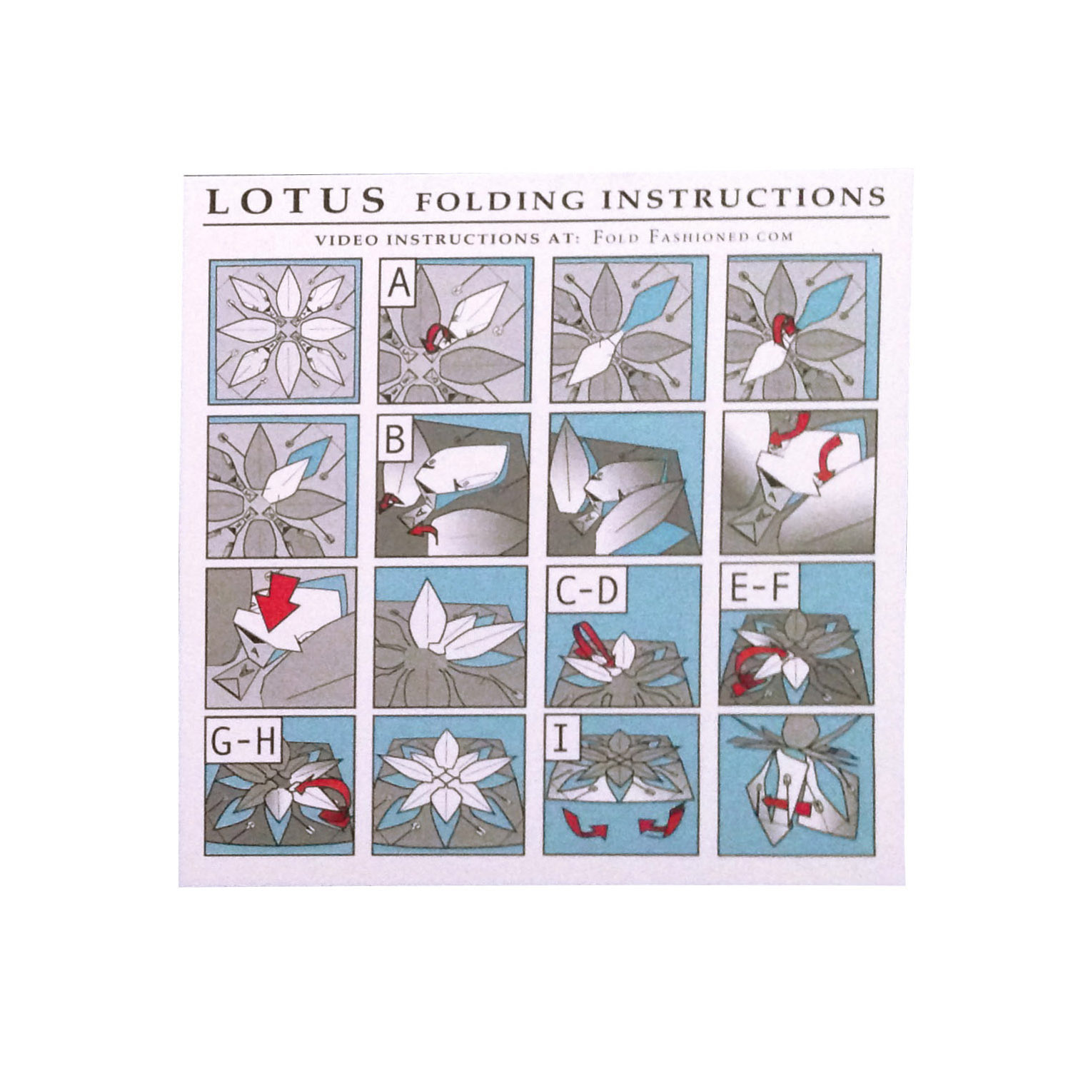 Singles__0006_Lotus_Inst.jpg