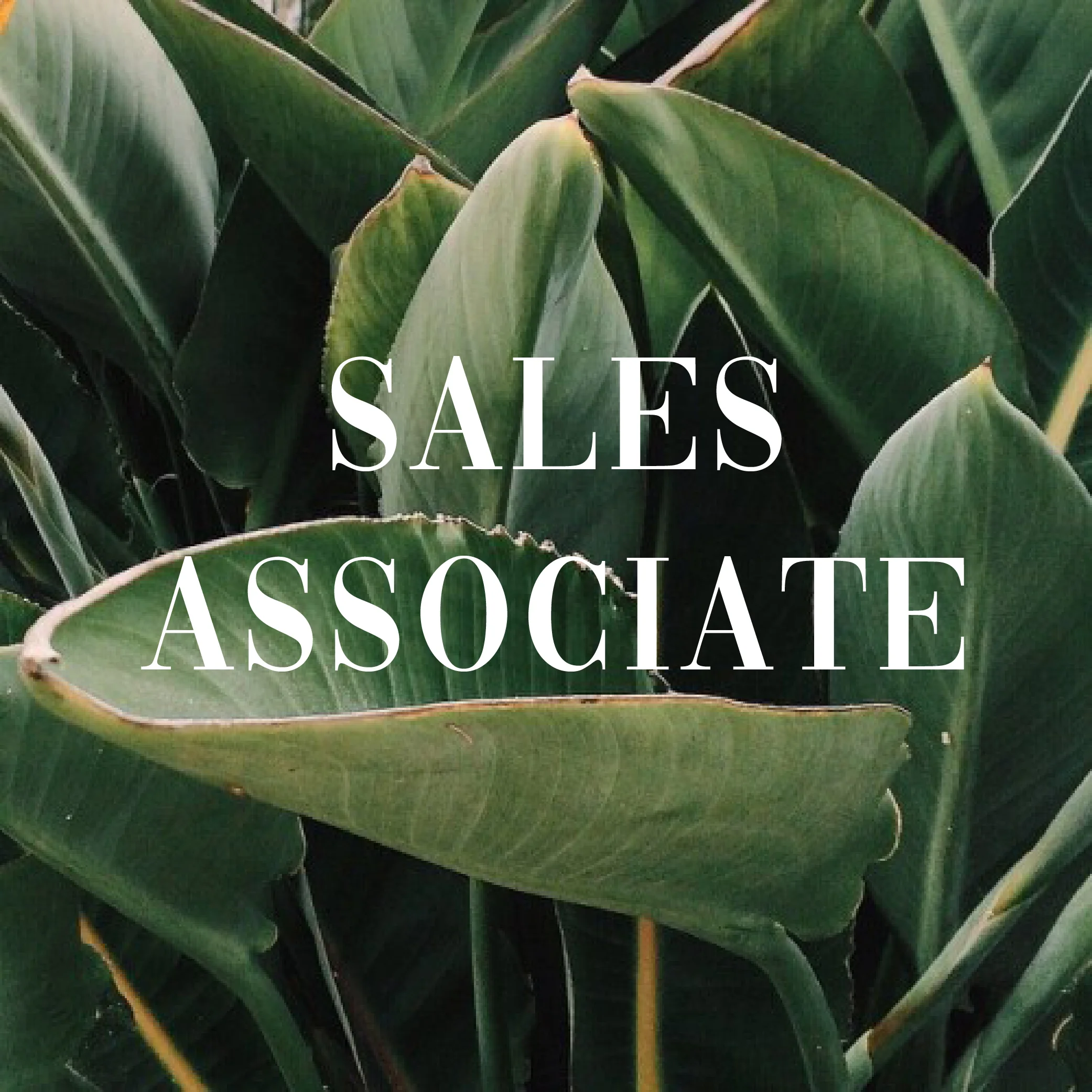 SalesAssociateIcon.jpg