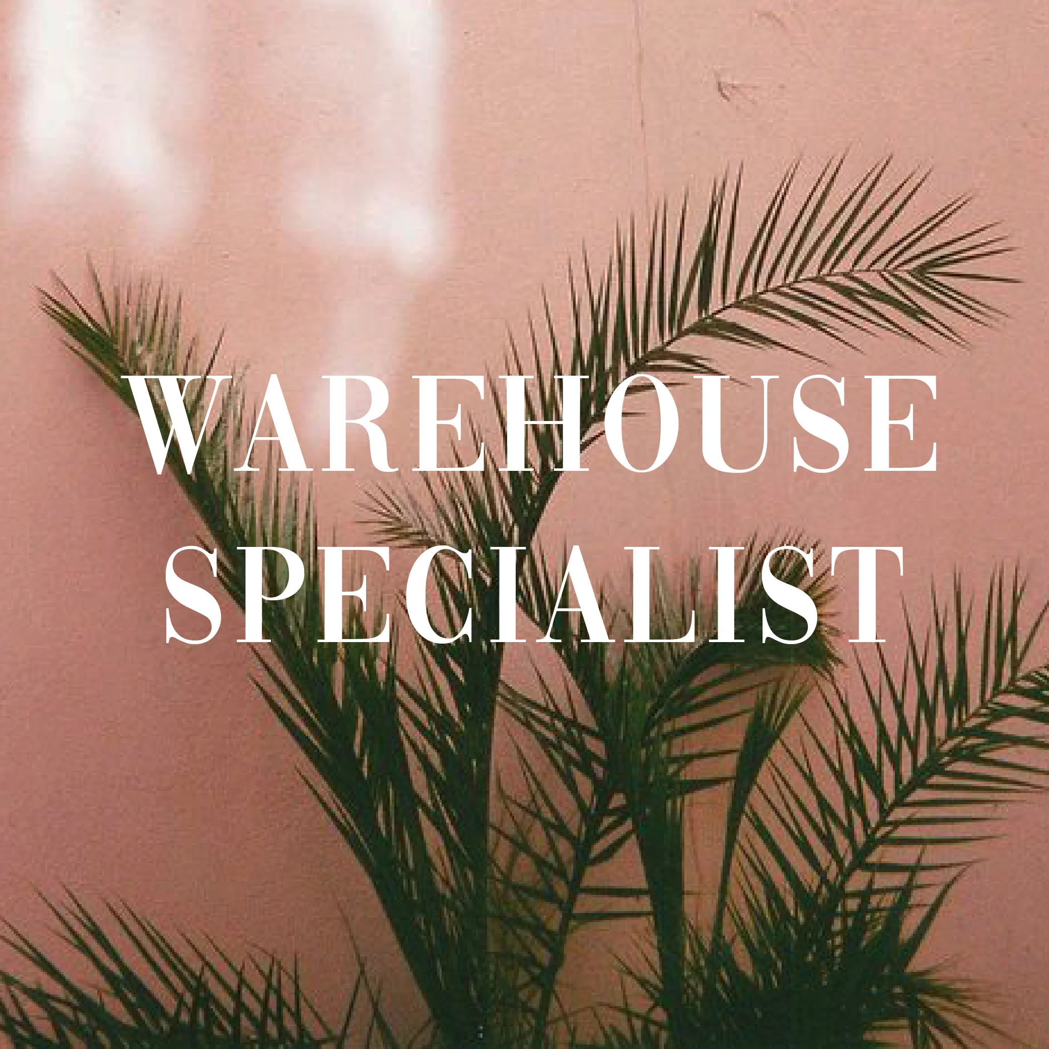 WarehouseSpecialistIcon.jpg