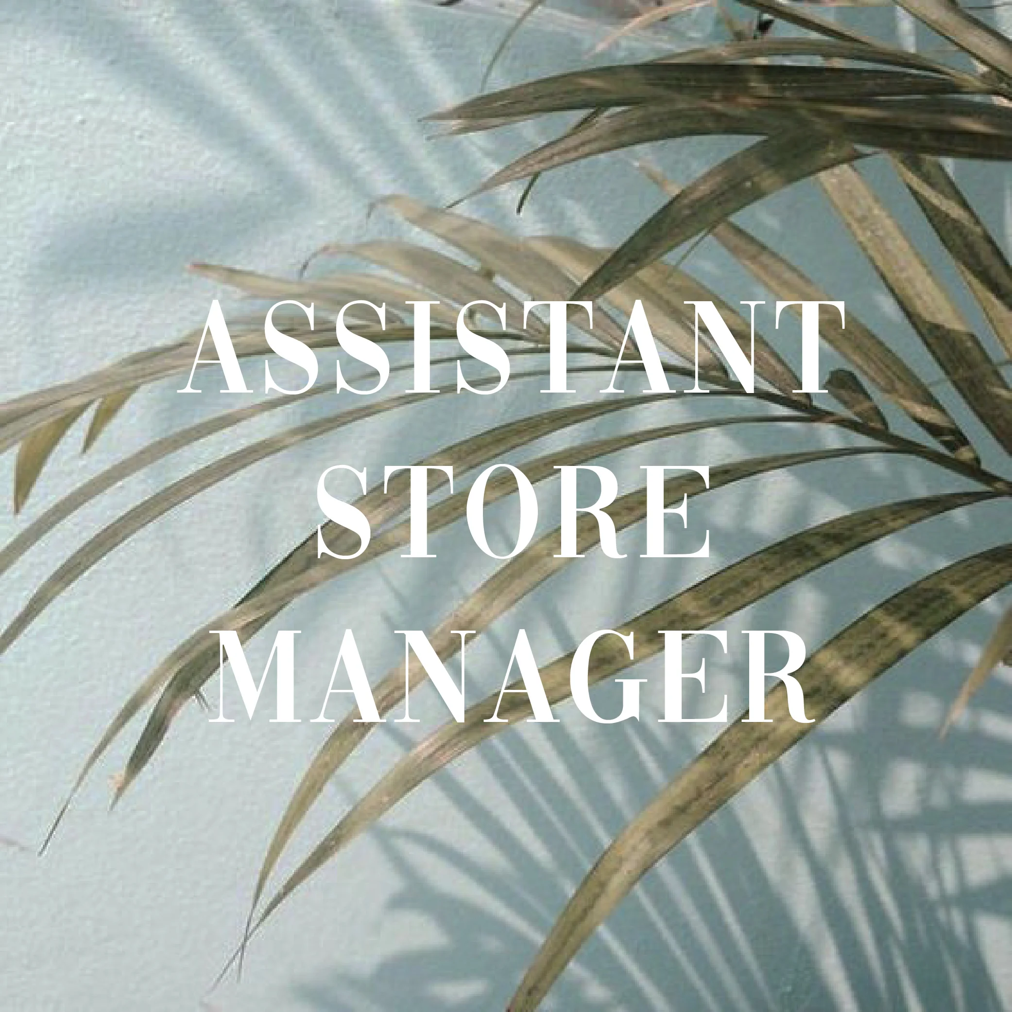 AssistantStoreManagerIcon.jpg