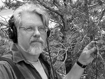 UC Santa Cruz music professor David Dunn listening to bark beetles. Credit: Courtesy of David Dunn