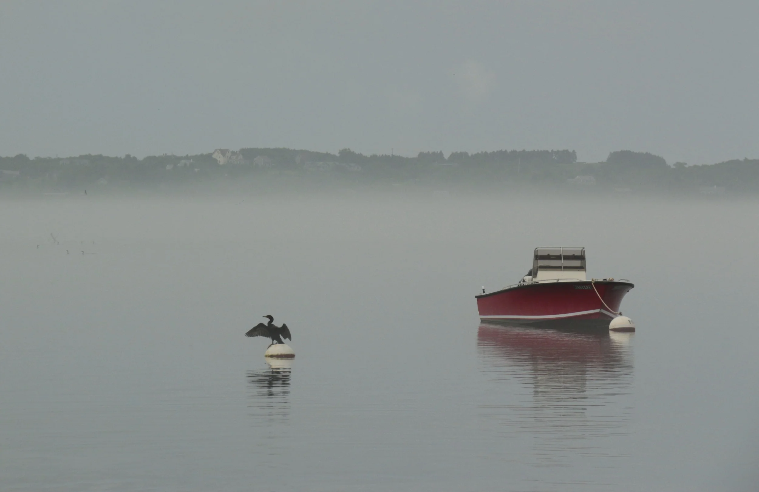 IMG_1785 - Version 2.jpg