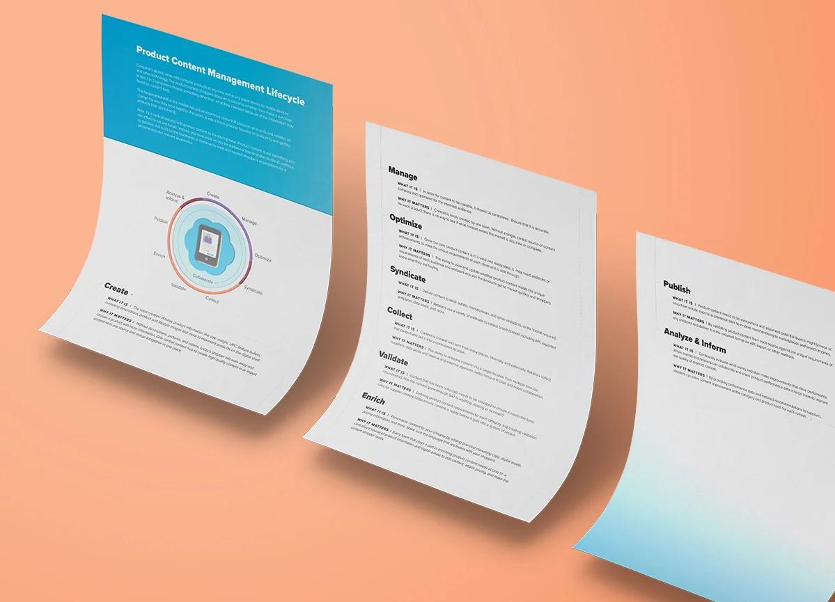 Lifecycle Mockup.jpg