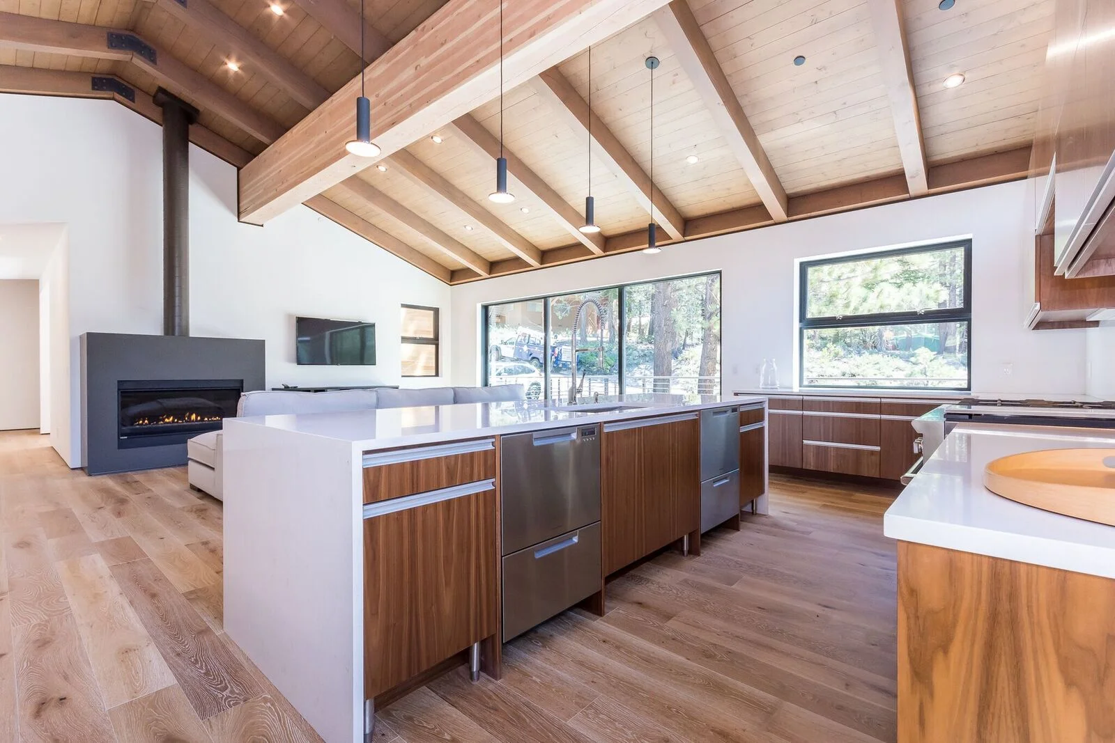 Modern Cabin