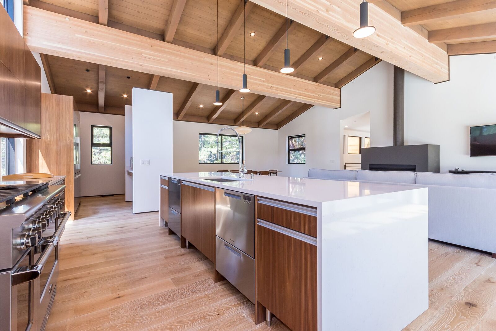 Modern Cabin