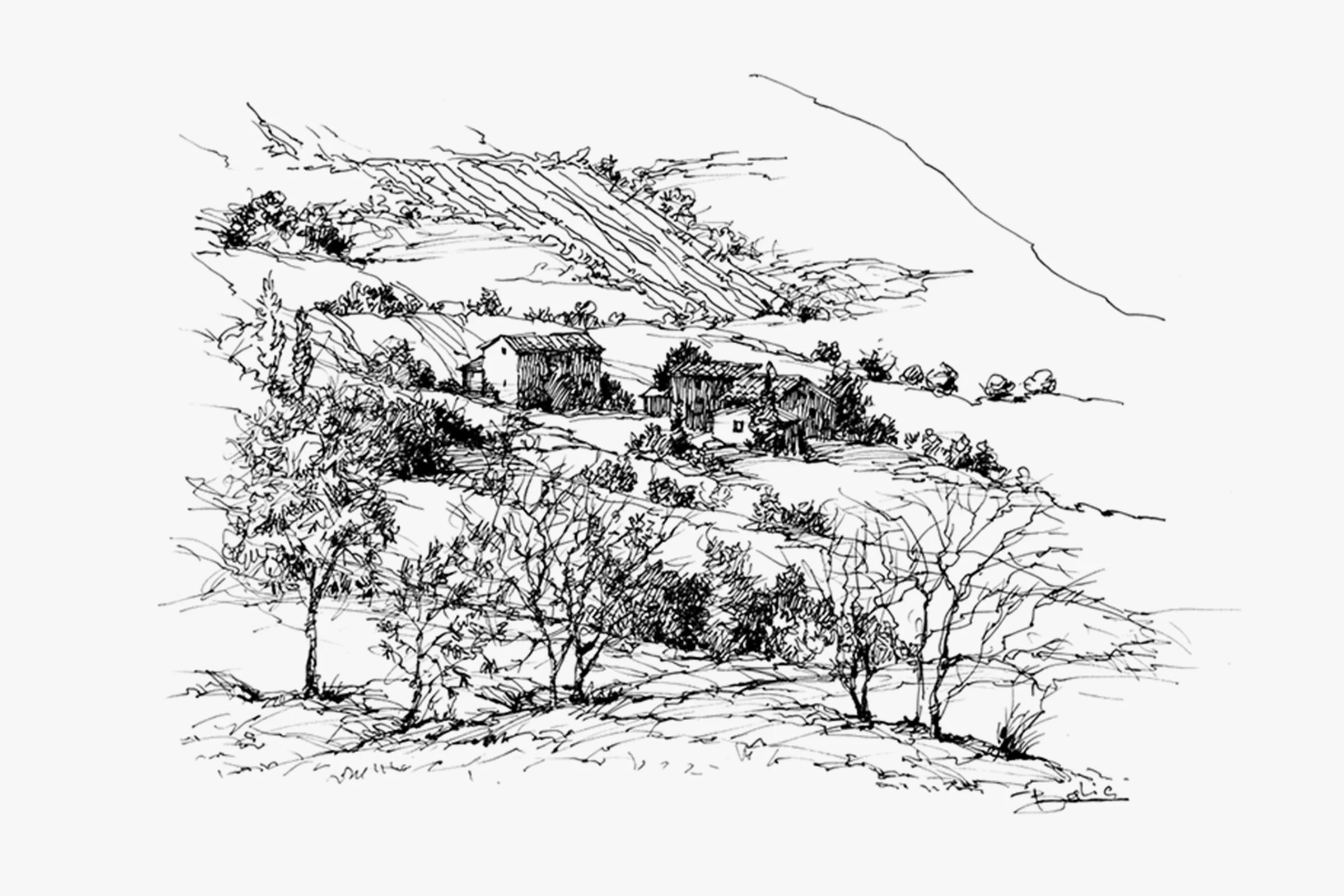 Hillside Farms