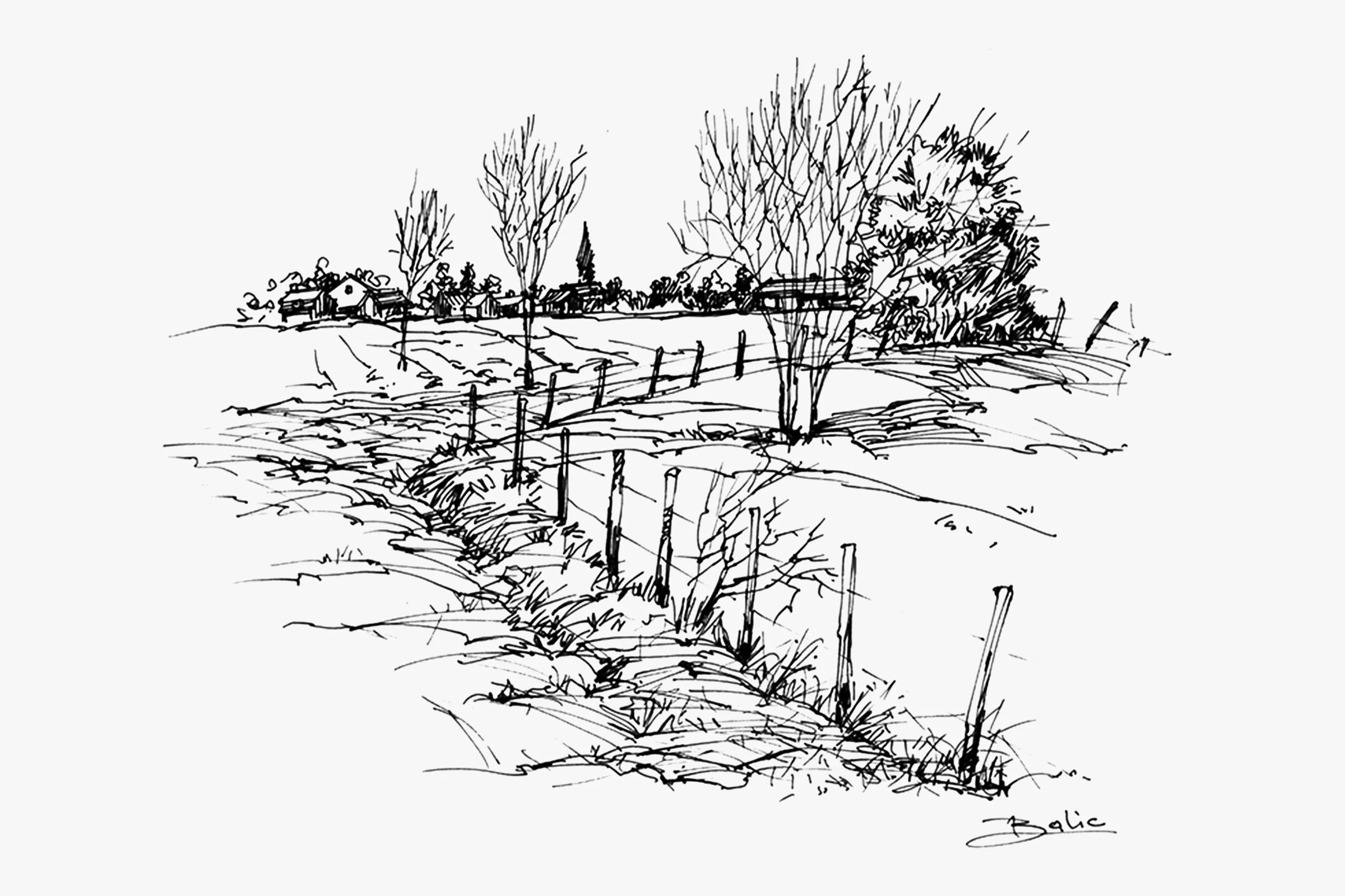 Along the Fence