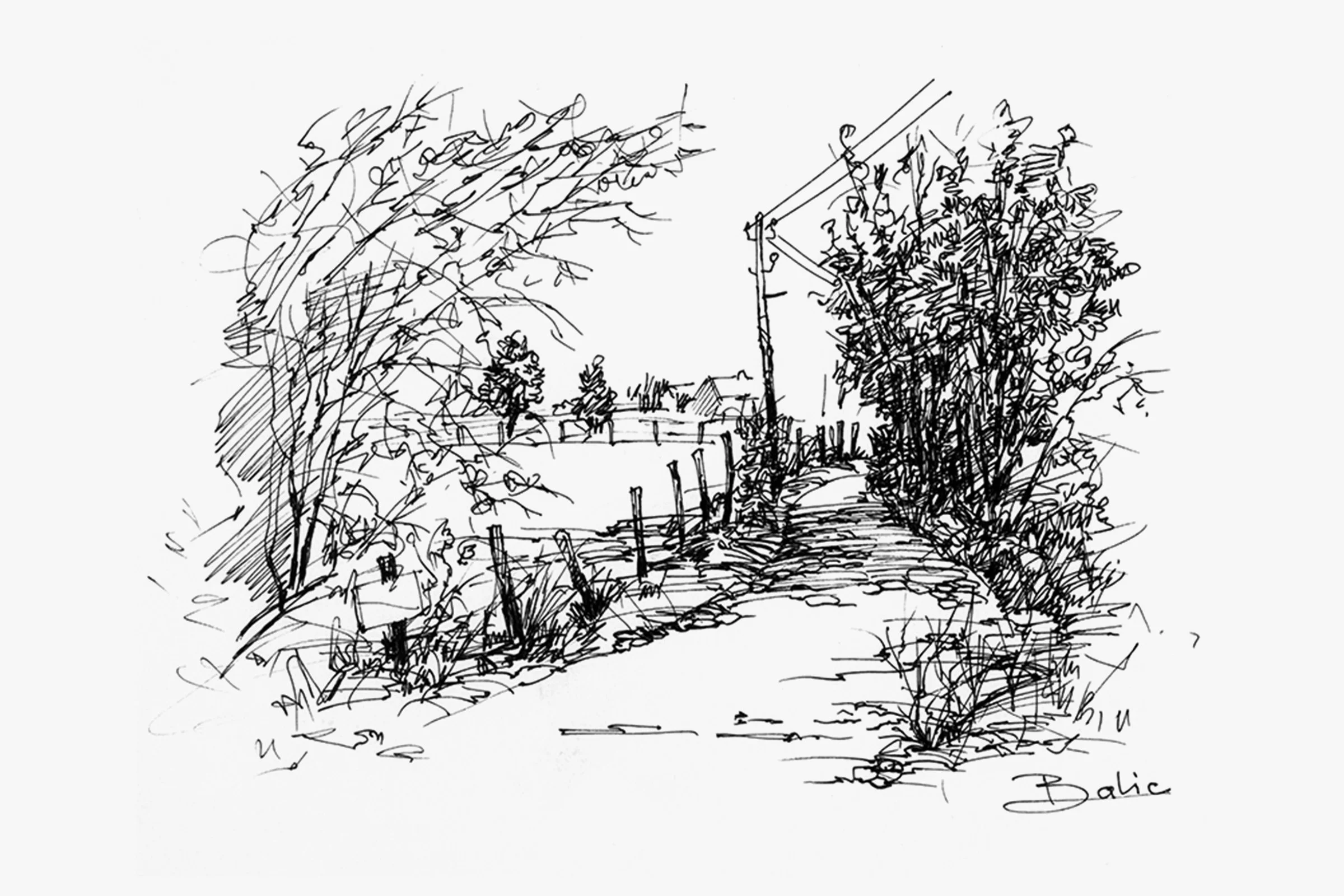 Country Lane
