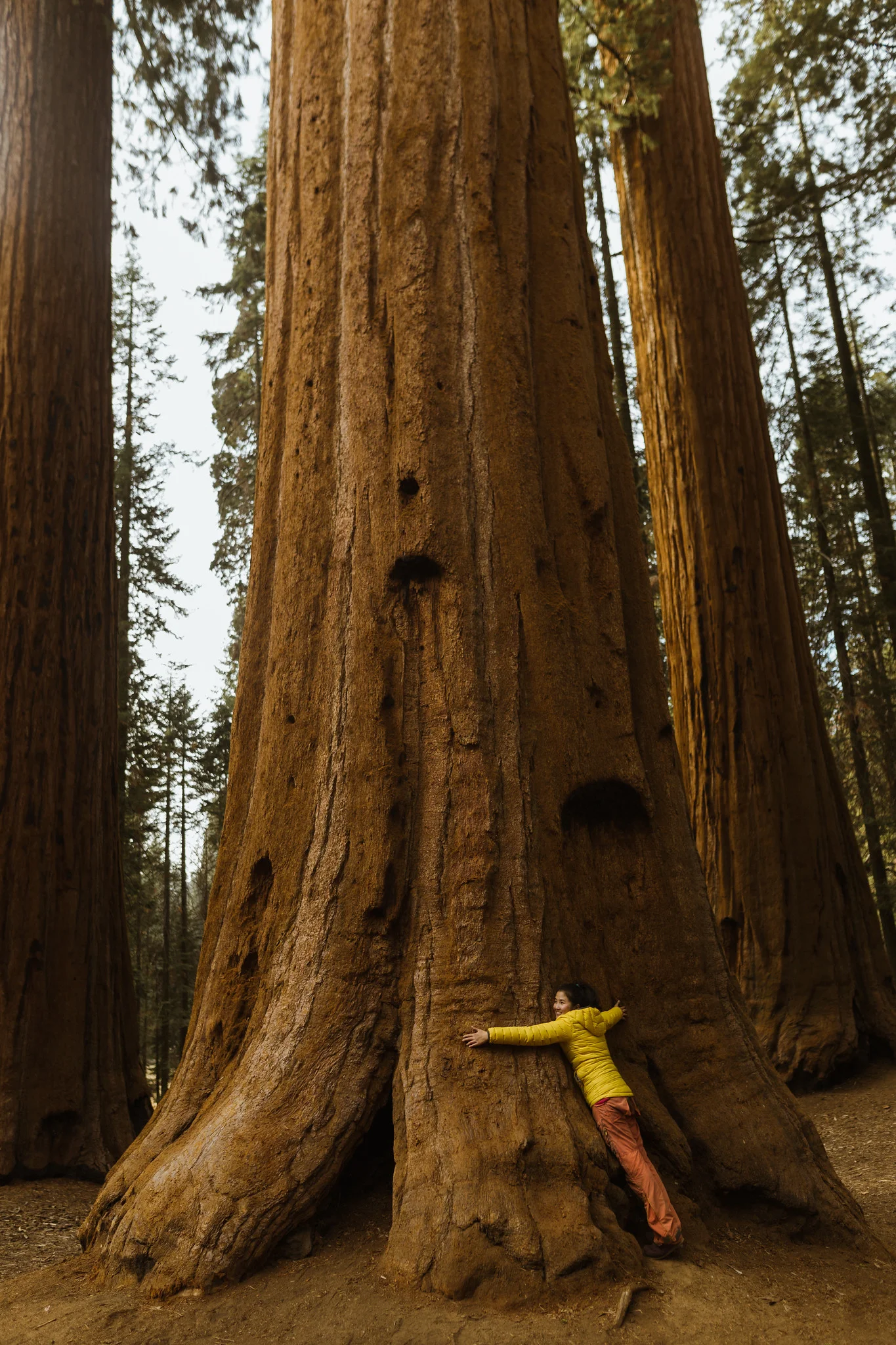 SierraDesignsBackpacking1075-X4.jpg