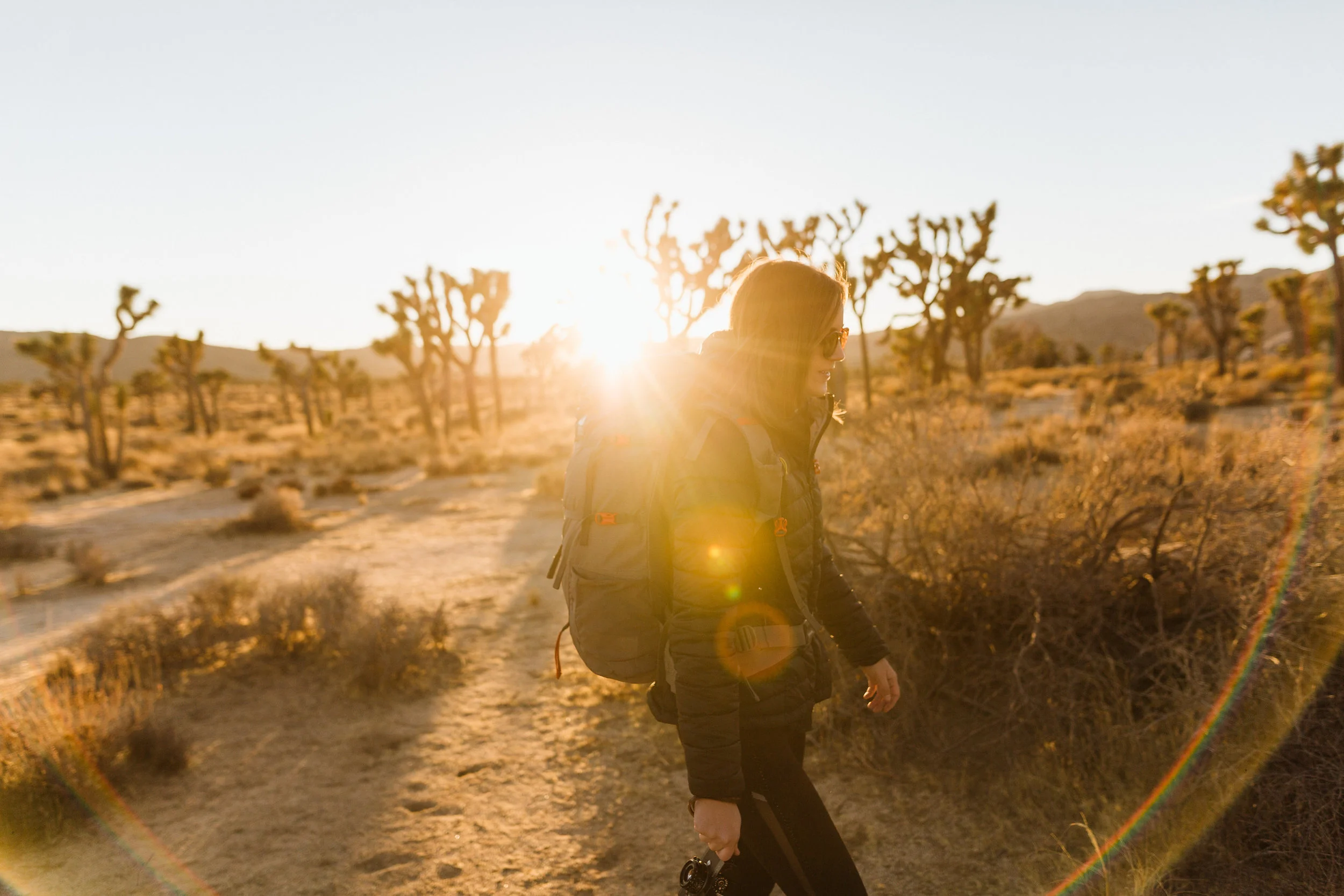 SierraDesignsJoshuaTree0895-X5.jpg