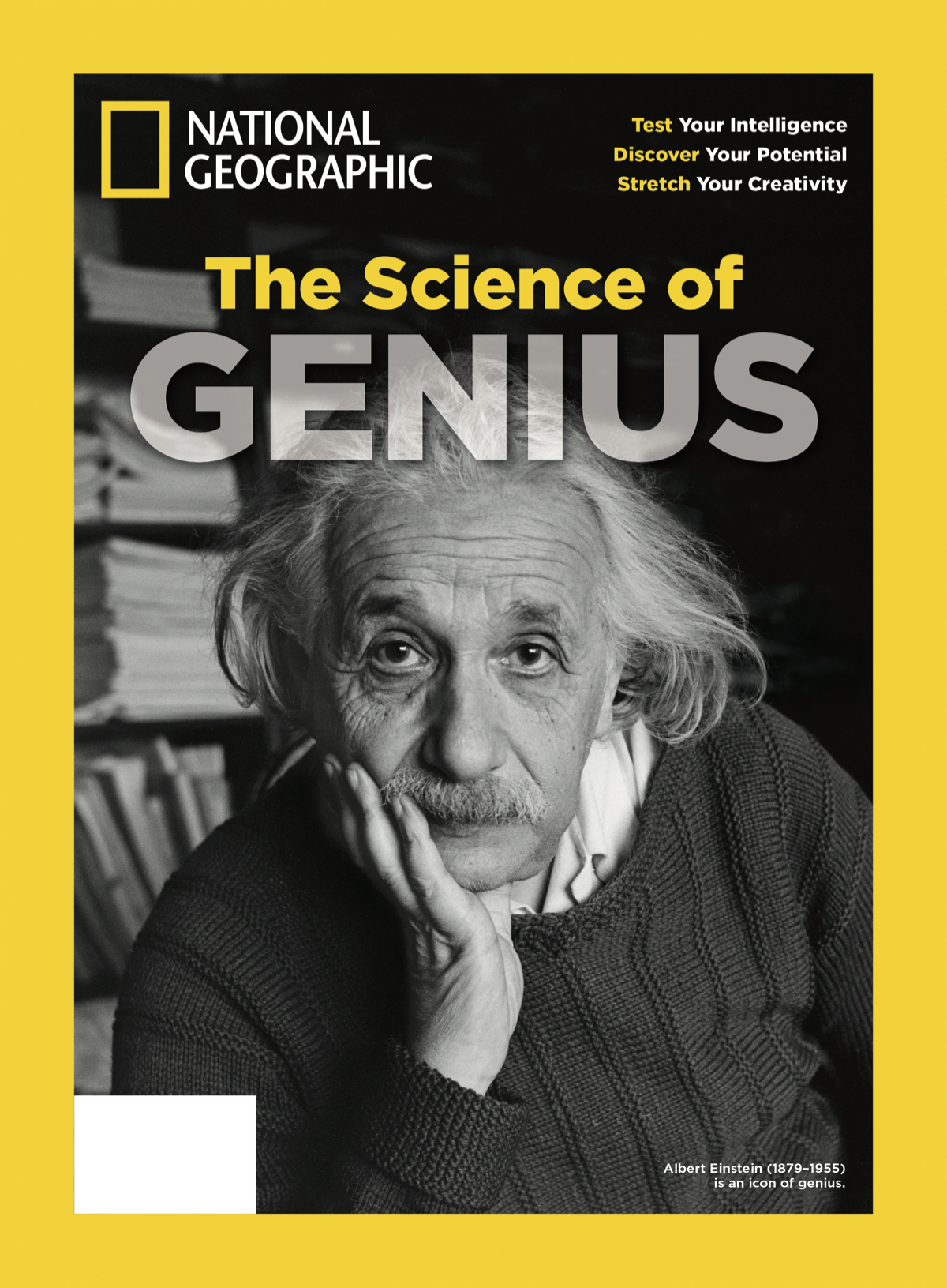 Genius Bookazine Cover jpeg.jpg