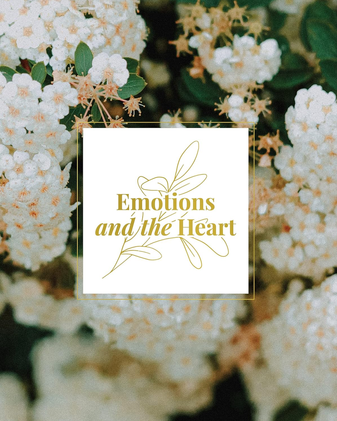 Women's Bible Study | Emotions And The Heart