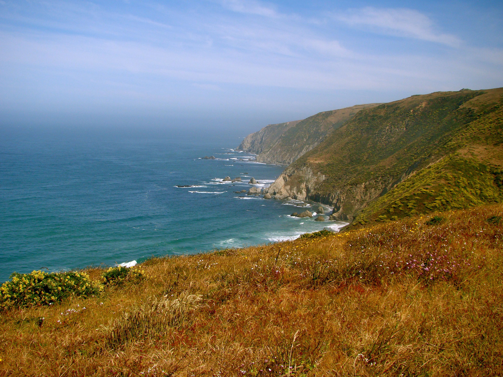 cali_coast_01.png