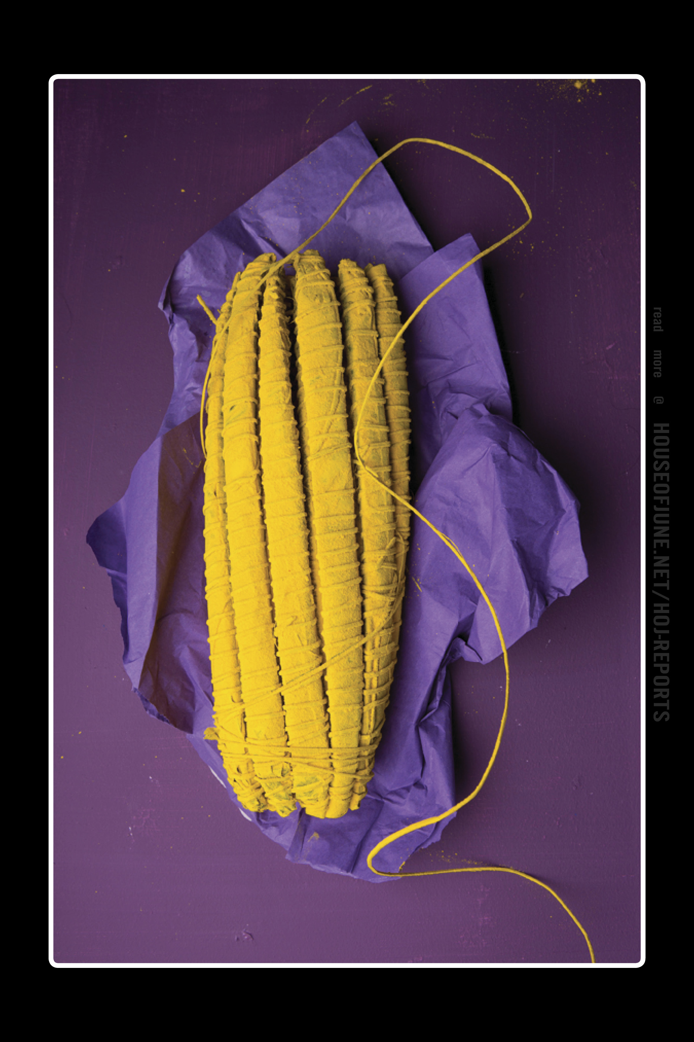 Lorenzo Vitturi (Giclee Print on Hahnemühle Bamboo Paper) Untitled (Purple), 2013