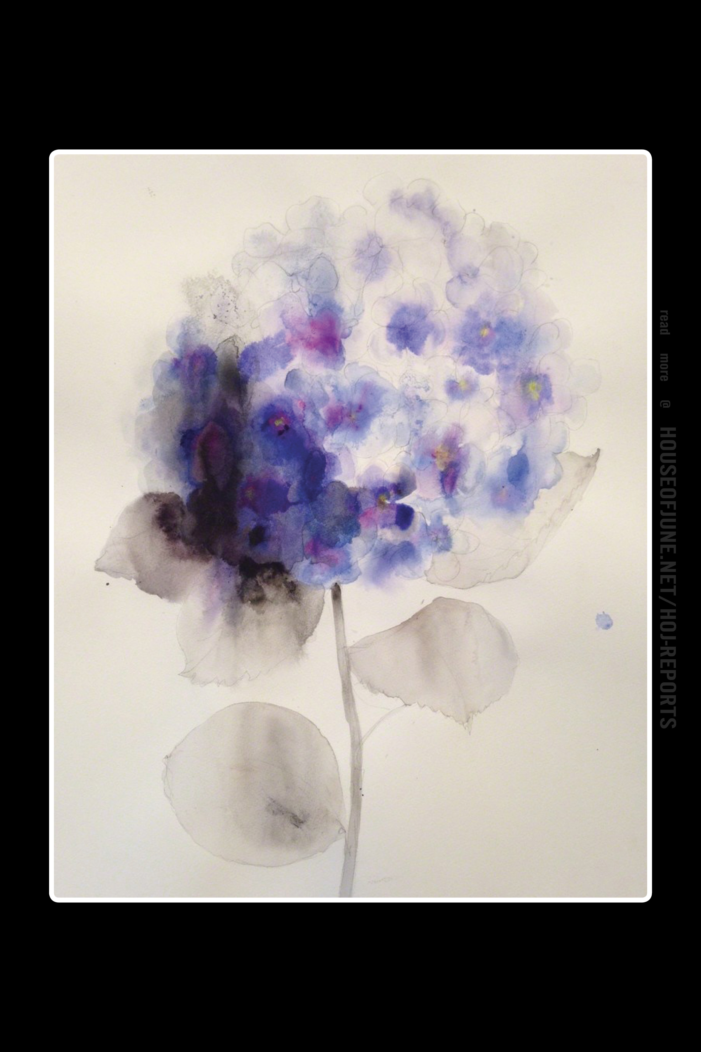 Lourdes Sanchez (Watercolor) Violet Hydrangea, 2016