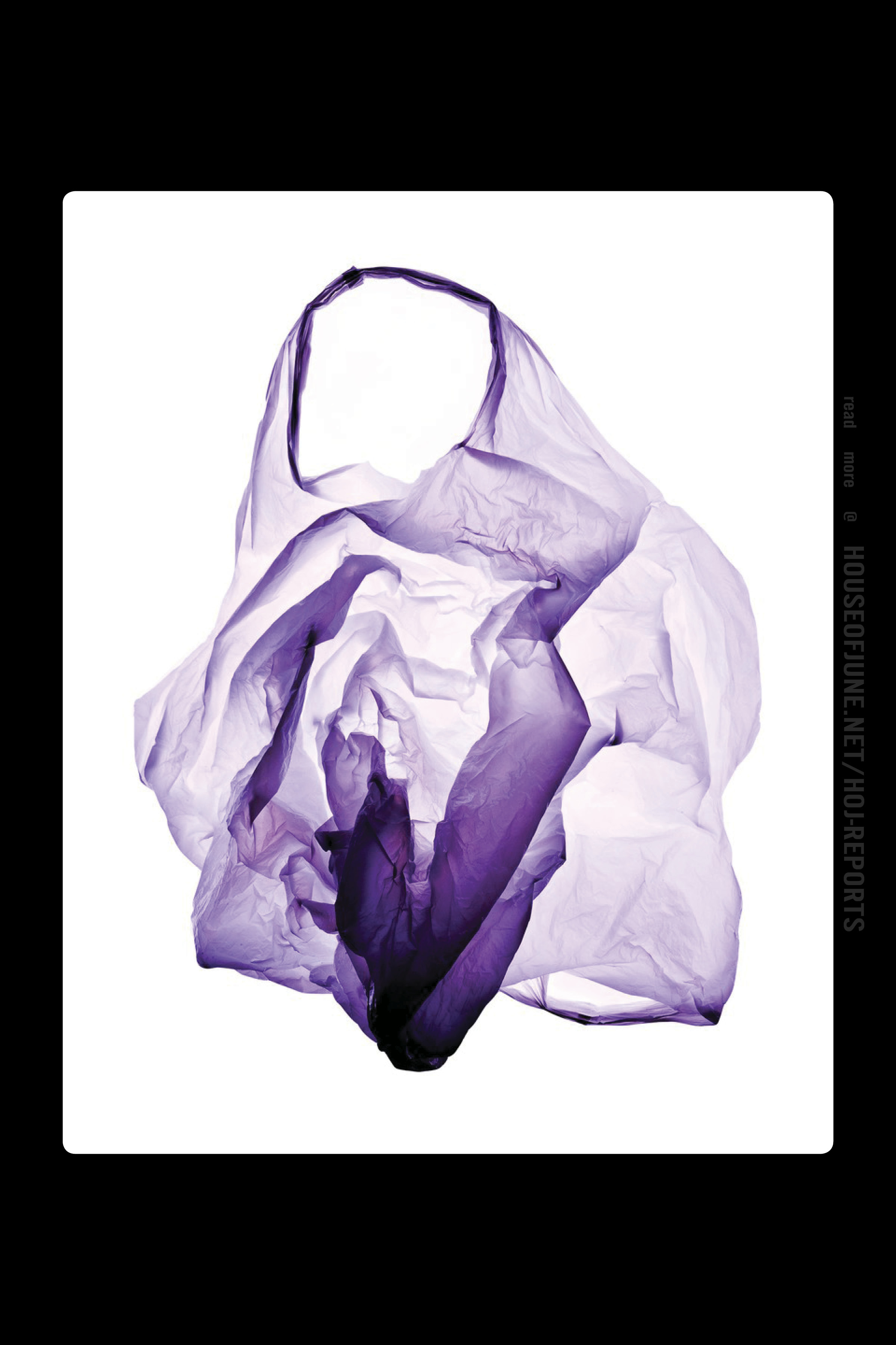 Naomi White , Violet, Plastic Currents, 2012
