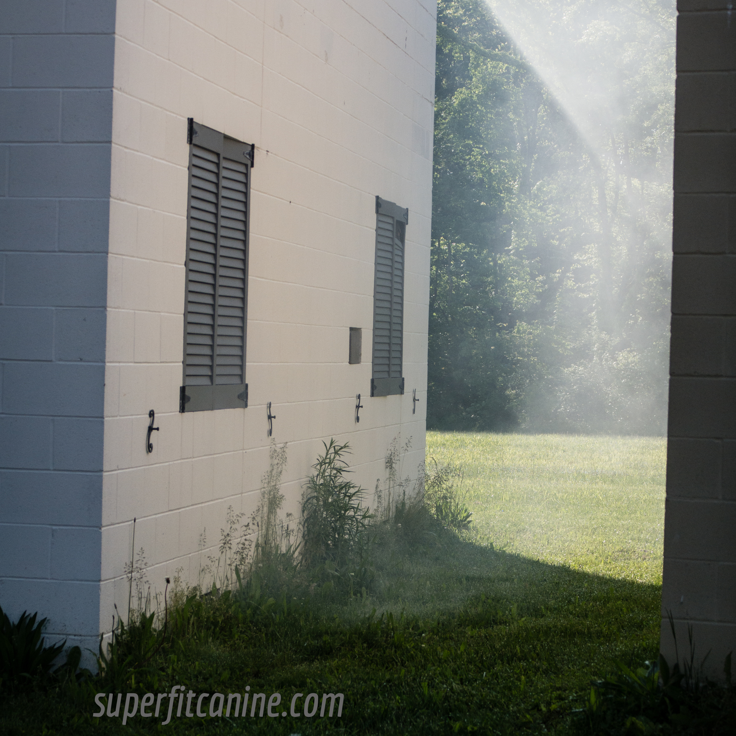 Buildings were filled with smoke after a scenario to demonstrate how odor may have been moving through the area. Here, smoke is exiting through holes at the base of one of the buildings. A great learning experience and a reminder to trust your dog!