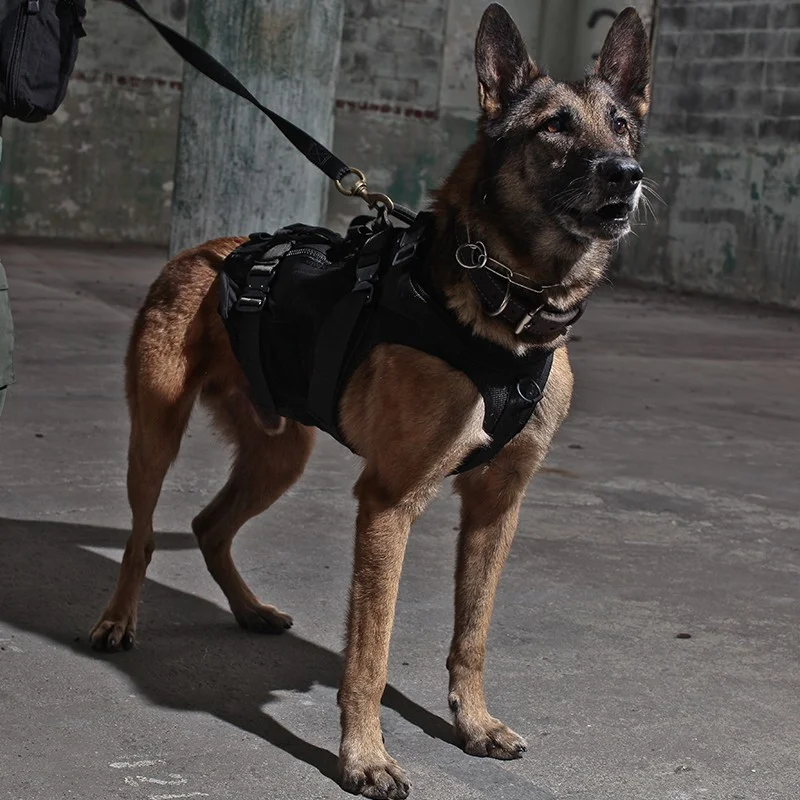 k9 tactical gear collar