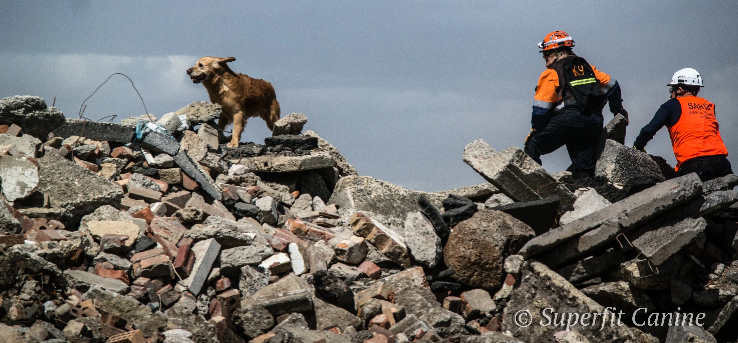 K9 Will (SARDA), handler Julie Cowan and instructor Eric Darling carefully traverse the rubble among high winds during the workshop.
